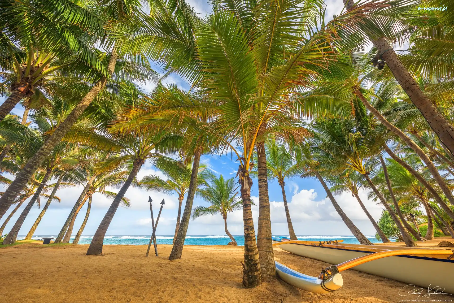 Hawaje, Morze, Palmy, Łódka, Plaża