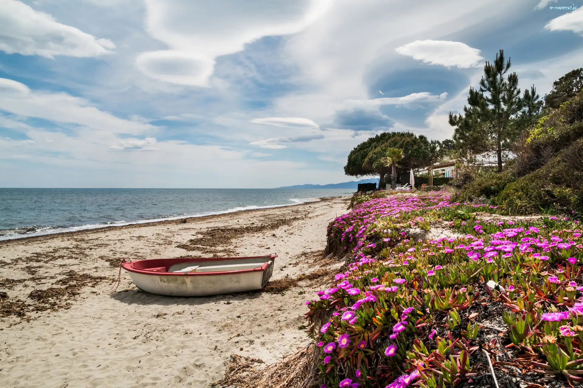 Plaża, Korsyka, Drzewa, Niebo, Morze, Łódka, Kwiaty, Francja