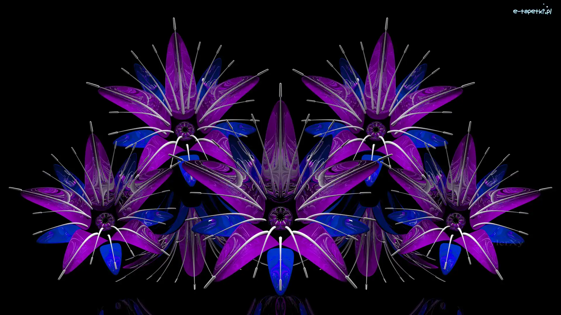 Kwiaty, Grafika 3D