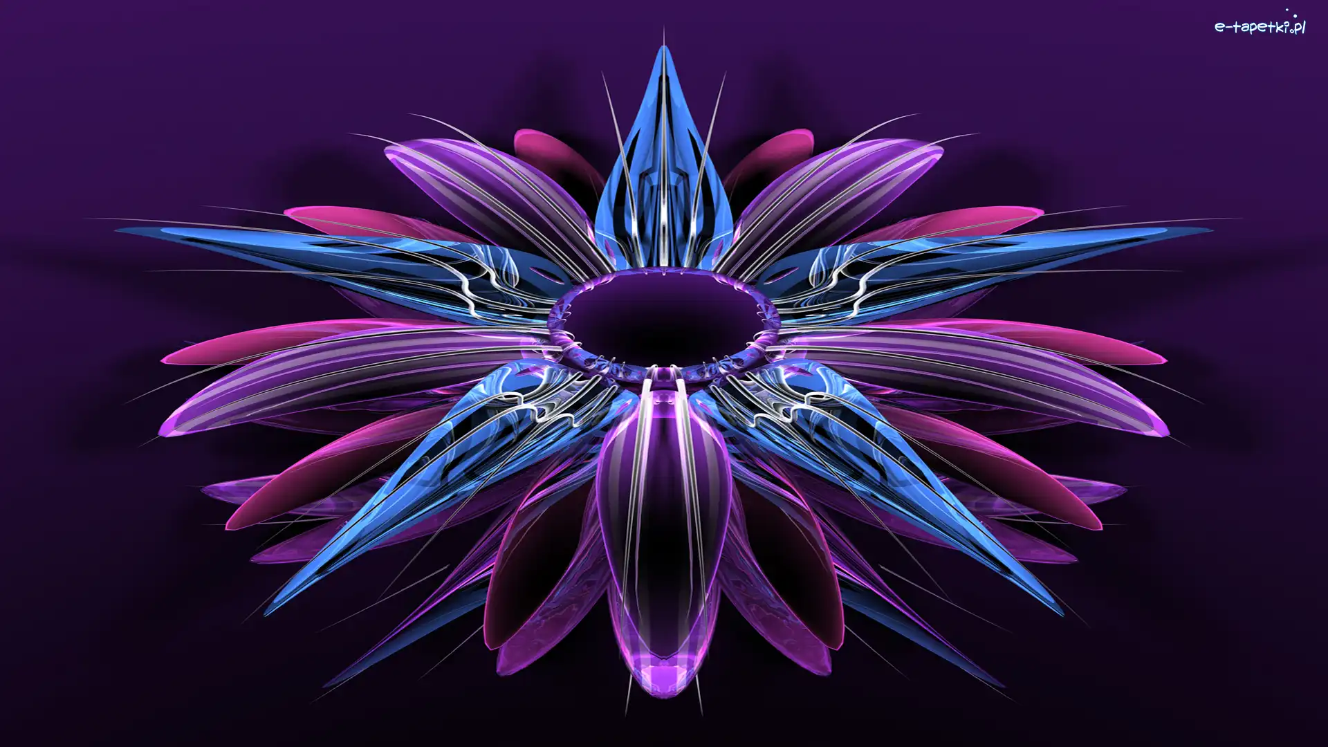 Kwiat, Fioletowo-niebieski, Grafika 3D