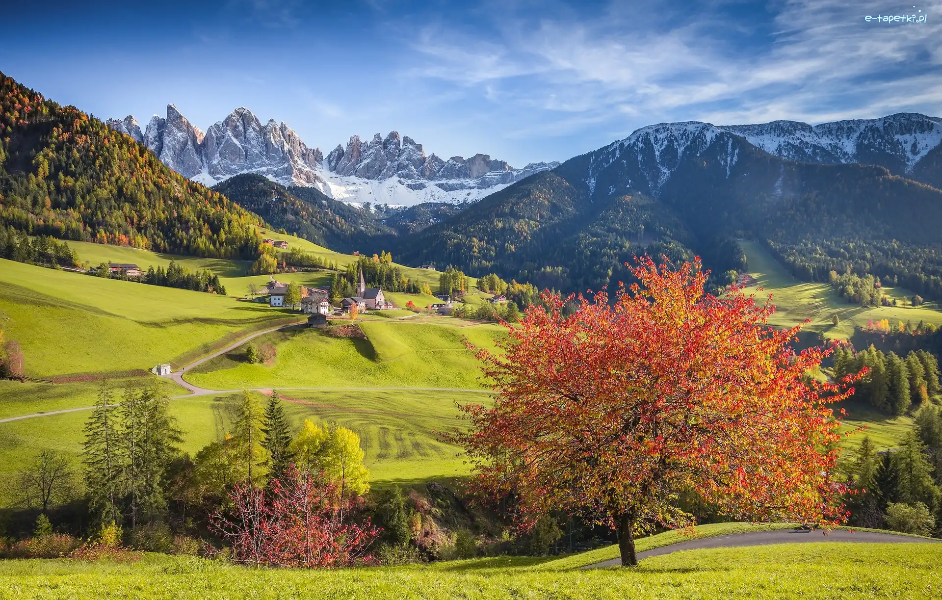 Domy, Dolina Val di Funes, Góry Dolomity, Santa Maddalena, Włochy, Drzewa, Wzgórza