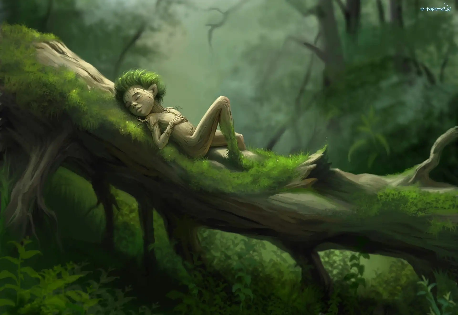 Fantasy, Elf, Drzewo