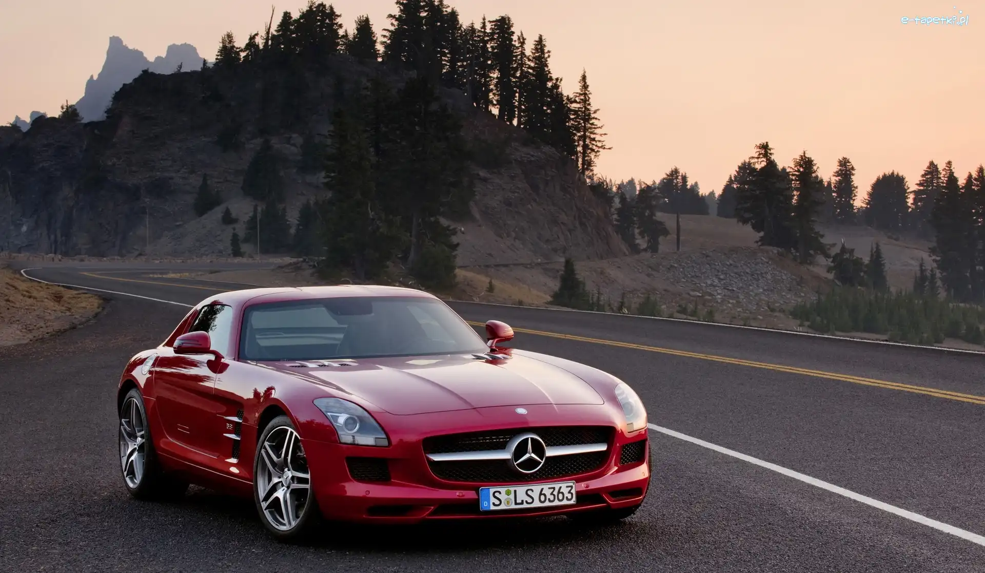 2010, Mercedes-Benz SLS AMG