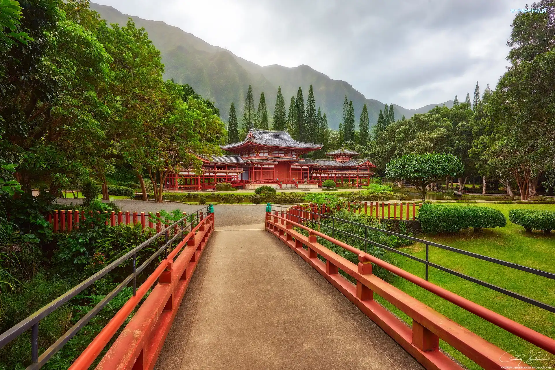 Roślinność, Góry, Świątynia japońska, Wyspa Oahu, Hawaje, Drzewa, Replika