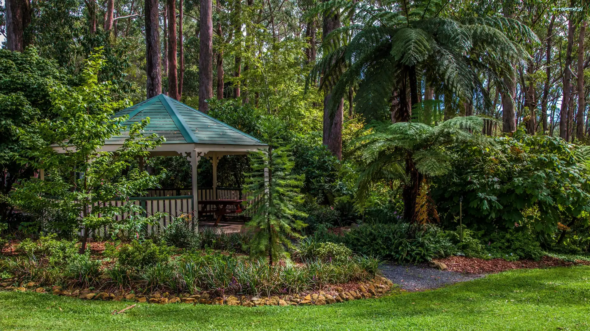 Australia, Krzewy, Ogród Botaniczny Mount Lofty, Altana, Drzewa