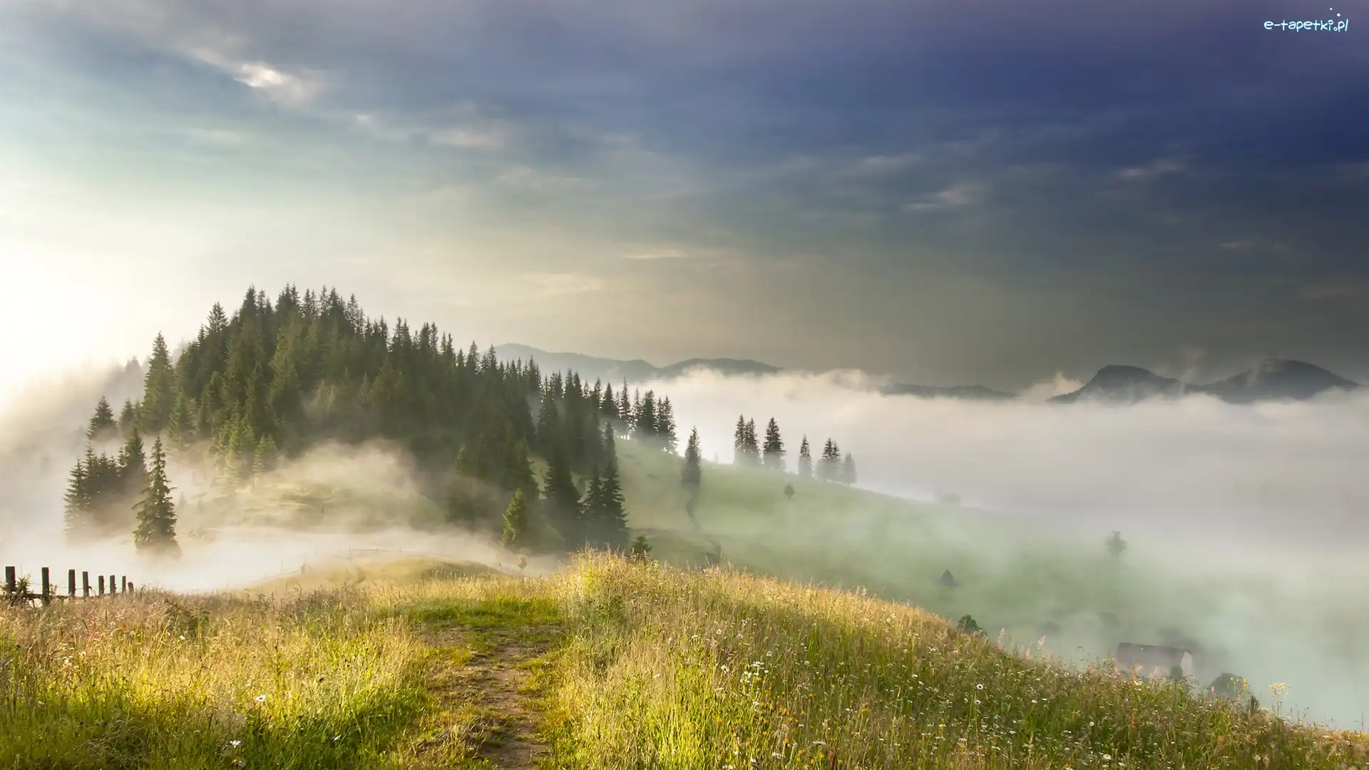 Mgła, Góry Karpaty, Poranek, Drzewa, Ścieżka, Ukraina