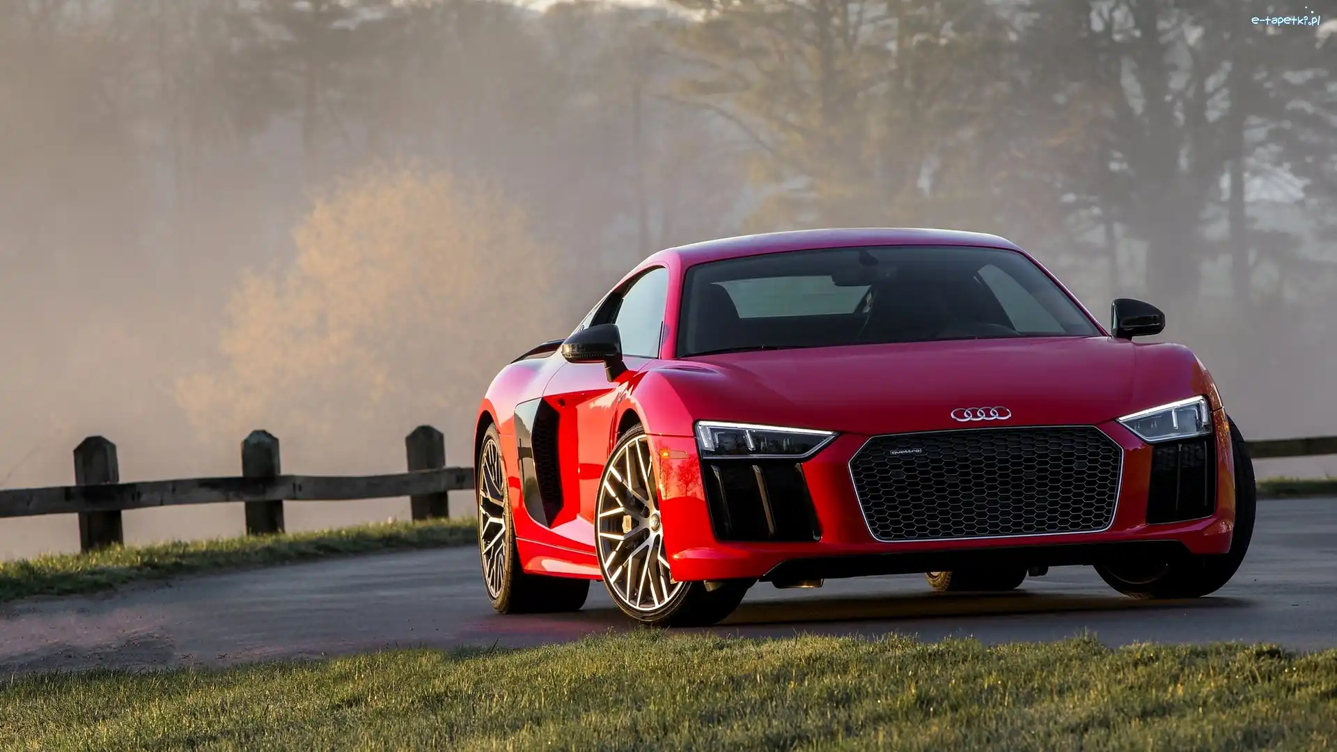 2016, Audi R8 V10 Plus Coupé 5.2 FSI S Tronic Quattro, Czerwone