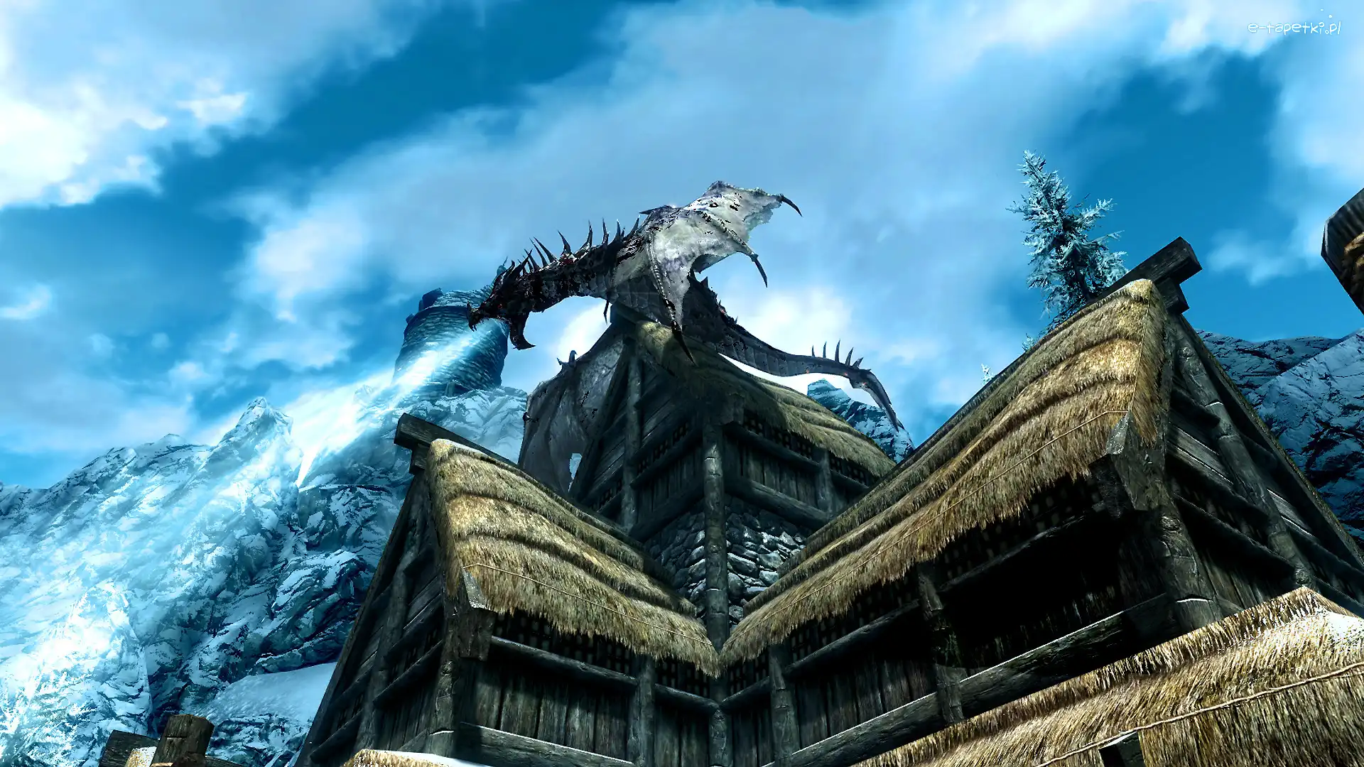 The Elder Scrolls V : Skyrim, Góry, Smok, Gra