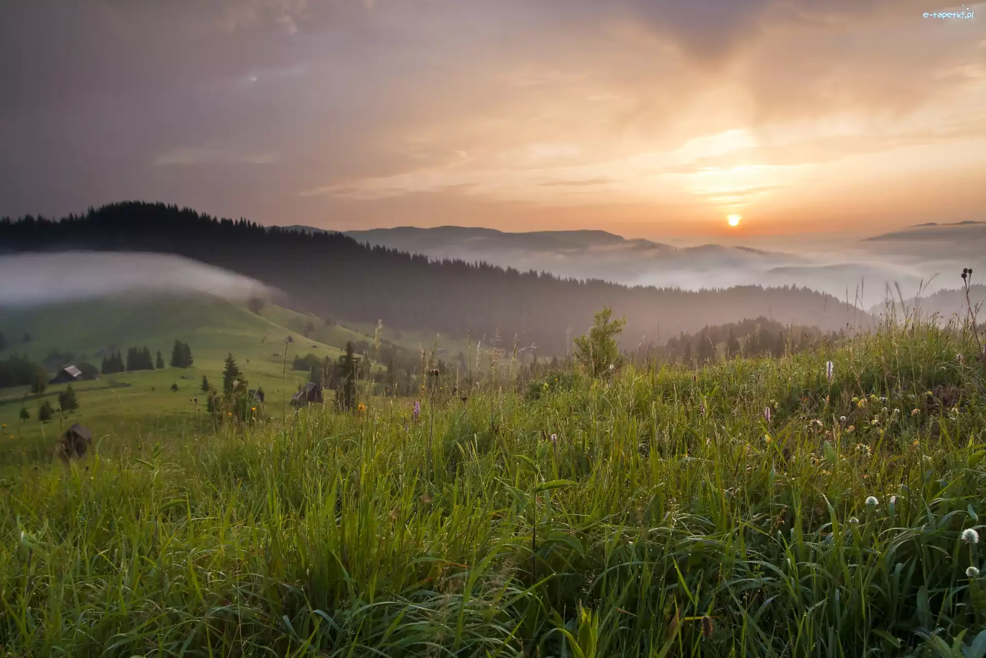 Łąka, Wzgórza, Zachód słońca, Bukowina, Rumunia, Drzewa, Mgła