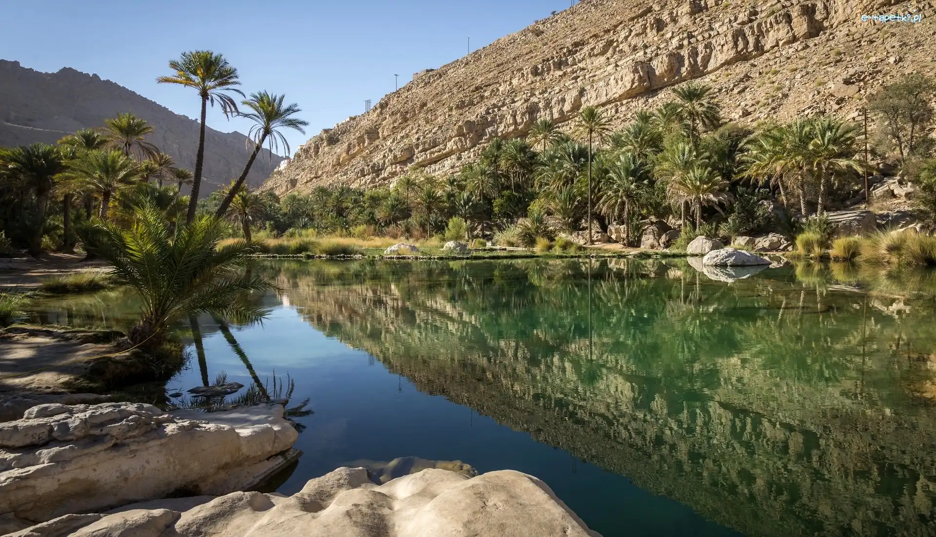 Palmy, Staw, Góry, Odbicie, Wadi Bani Khalid, Oman