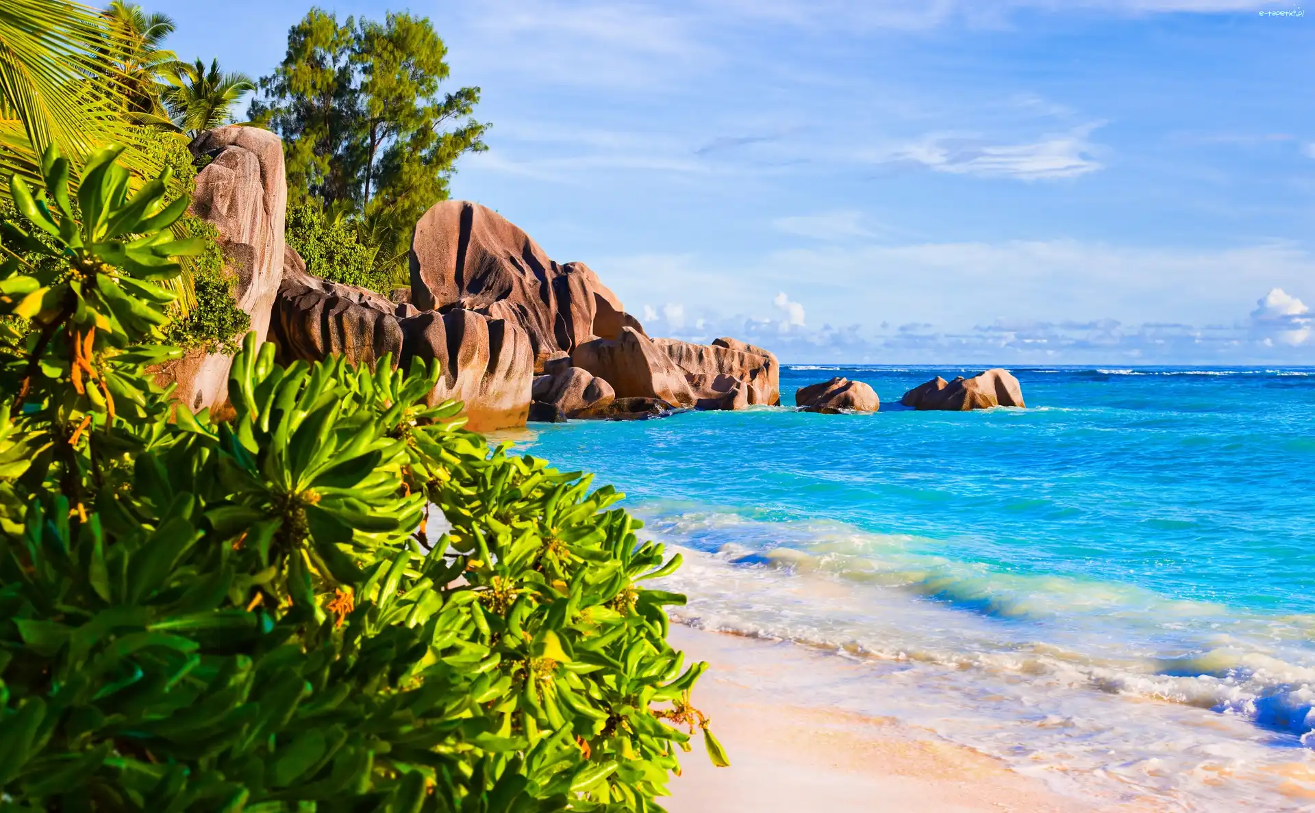 Skały, Plaża Anse Source dArgent, Morze, Roślinność, Wyspa La Digue, Seszele