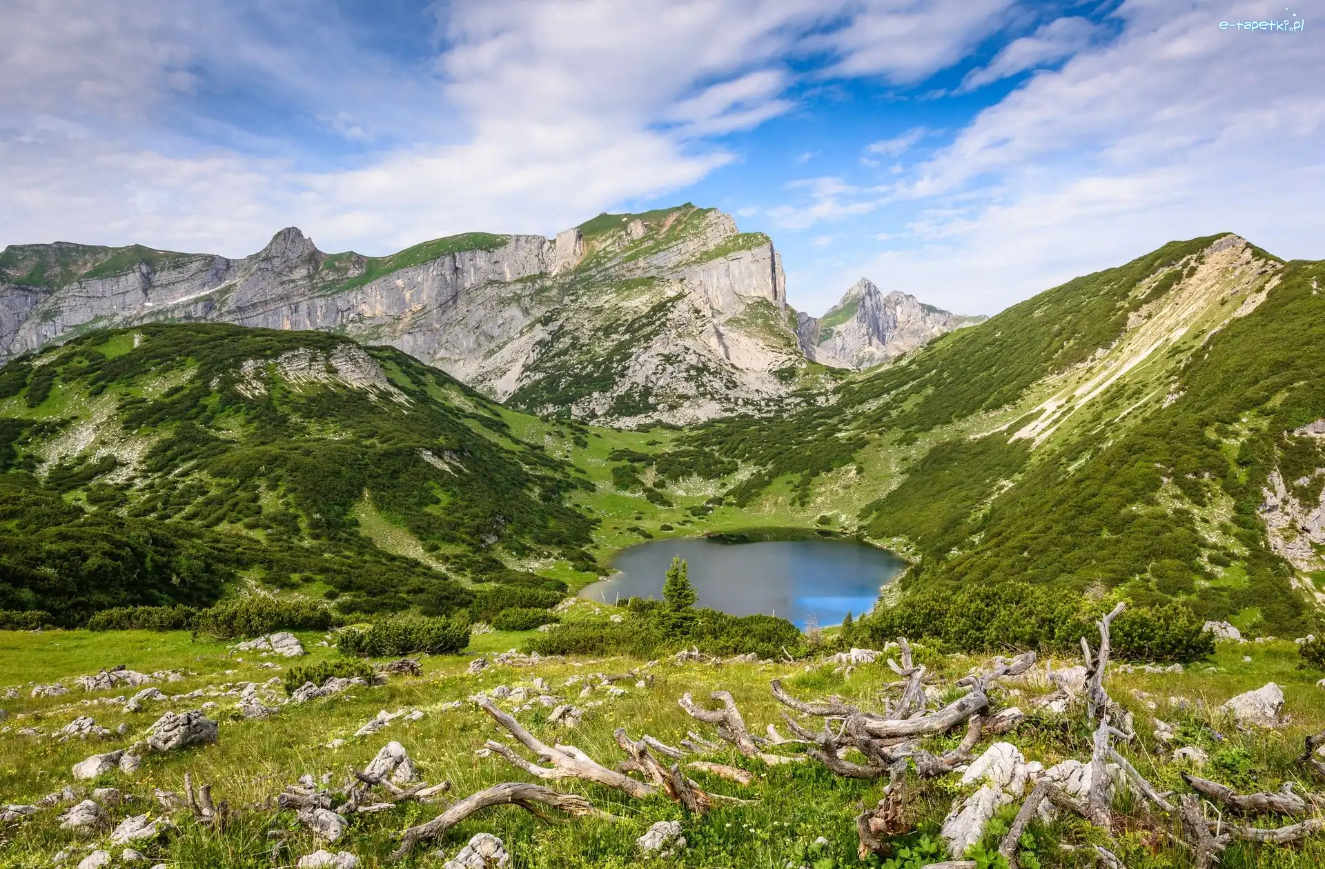 Austria, Jezioro Zireiner See, Góry, Konary, Wzgórza