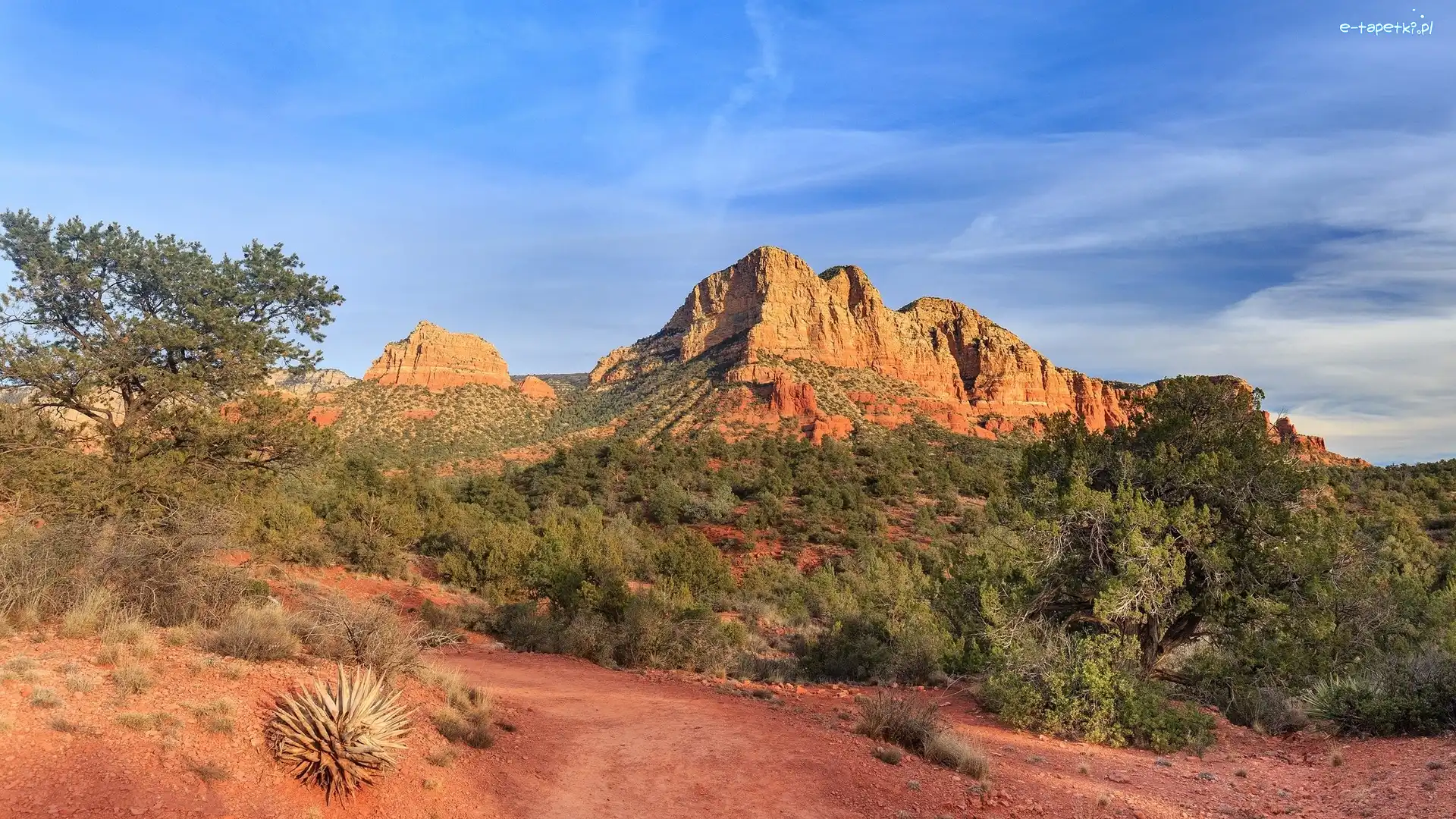 Skały, Park stanowy Red Rock, Czerwone, Drzewa, Stan Arizona, Stany Zjednoczone
