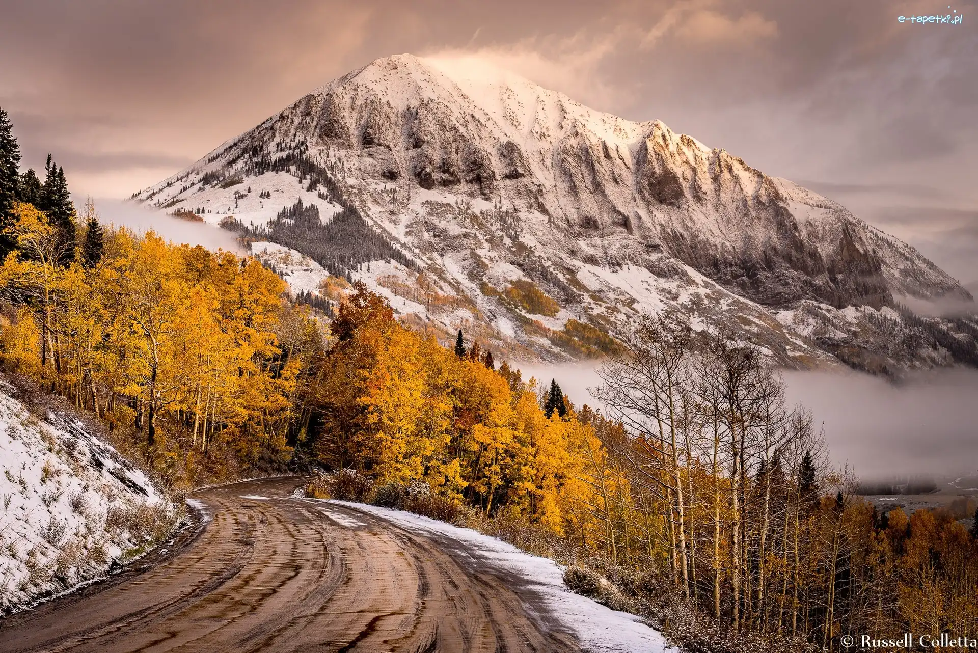 Góra Gothic Mountain, Droga, Góry, Drzewa, Stan Kolorado, Stany Zjednoczone