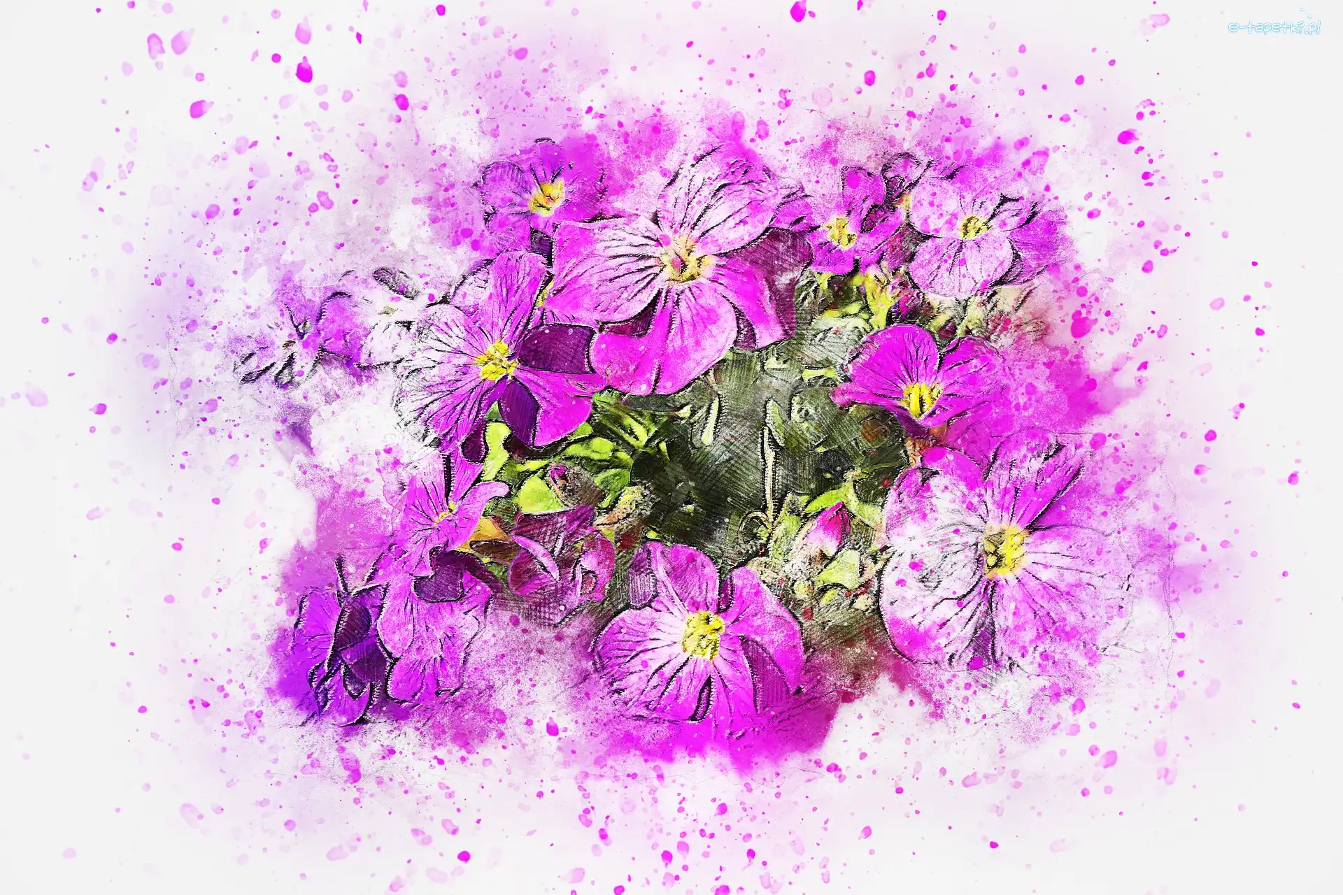 Paintography, Grafika, Kwiaty