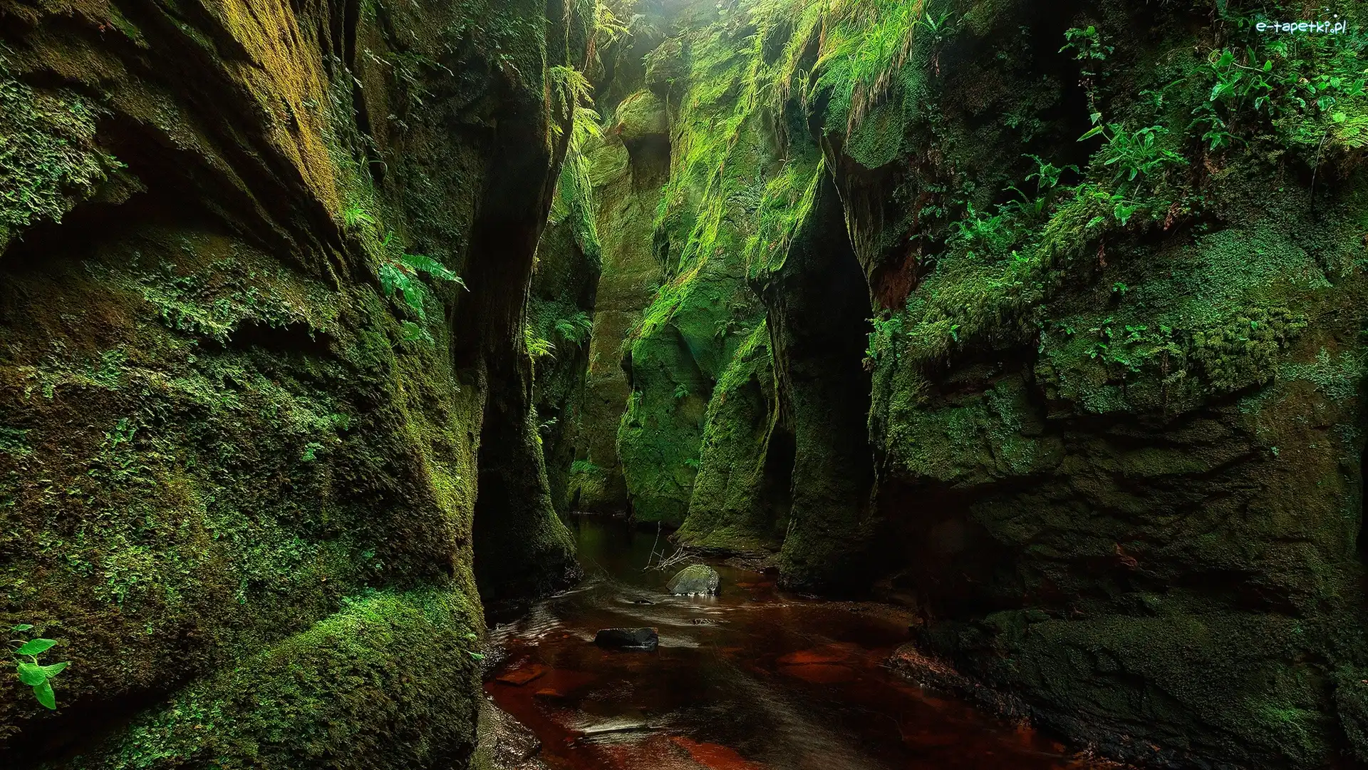 Rzeka Carnock Burn, Góry, Skały, Wąwóz Finnich Glen, Szkocja, Roślinność, Mech
