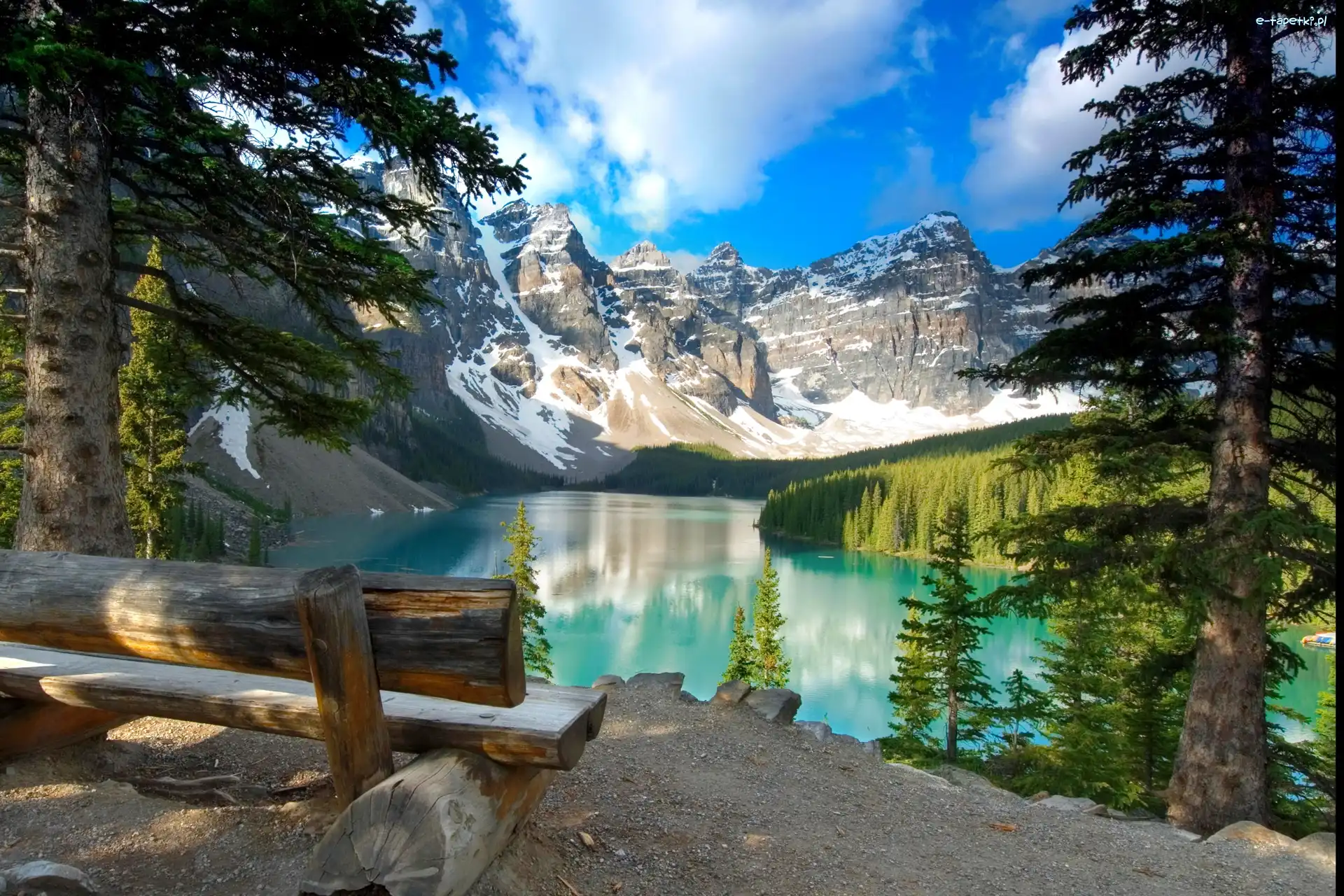 Ławka, Góry, Jezioro Moraine, Drzewa, Park Narodowy Banff, Kanada
