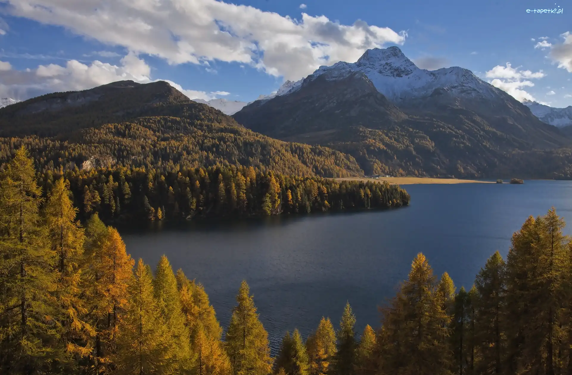Szwajcaria, Jezioro Silsersee, Góry Alpy, Drzewa, Lasy