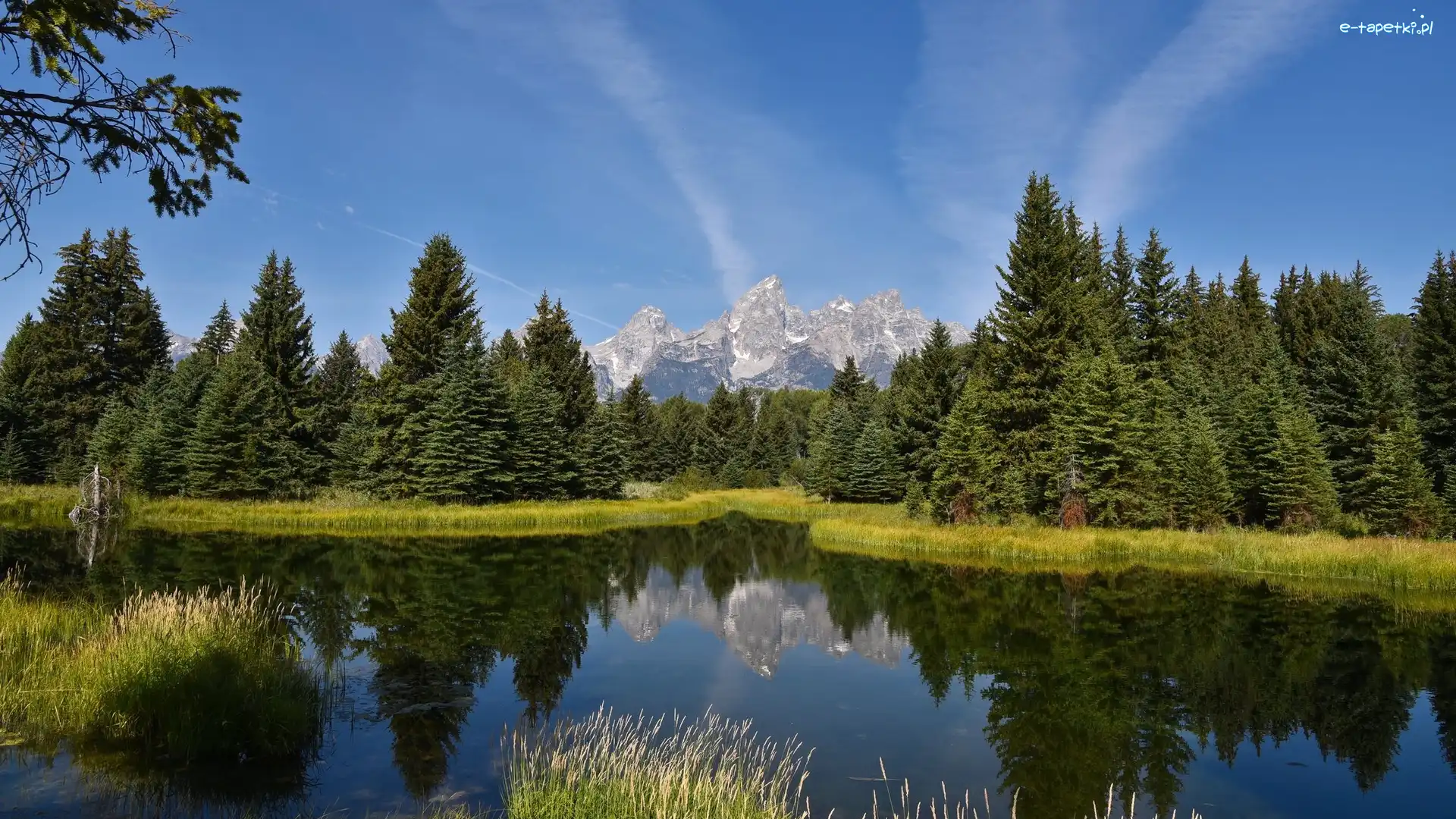Odbicie, Park Narodowy Grand Teton, Rzeka Snake River, Stan Wyoming, Stany Zjednoczone, Góry Teton Range, Drzewa
