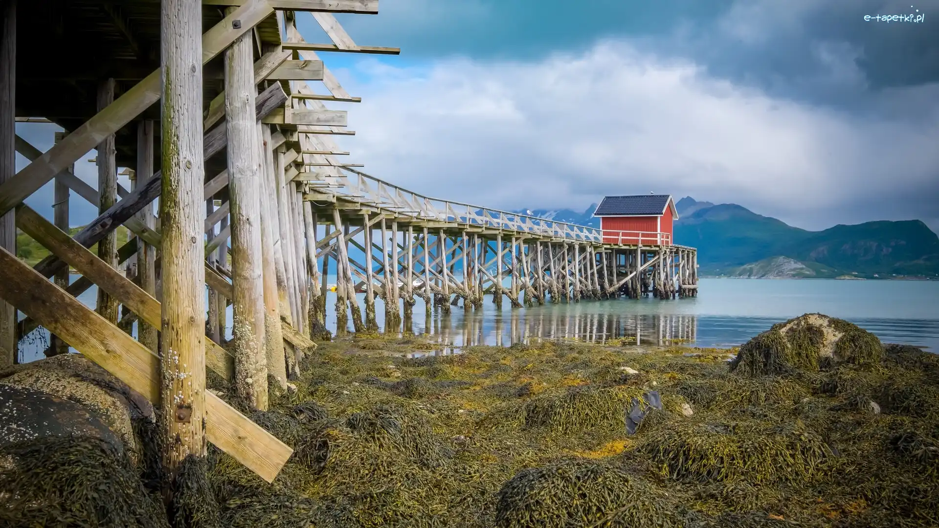 Norwegia, Molo, Wyspa Meløya, Morze Norweskie, Domek