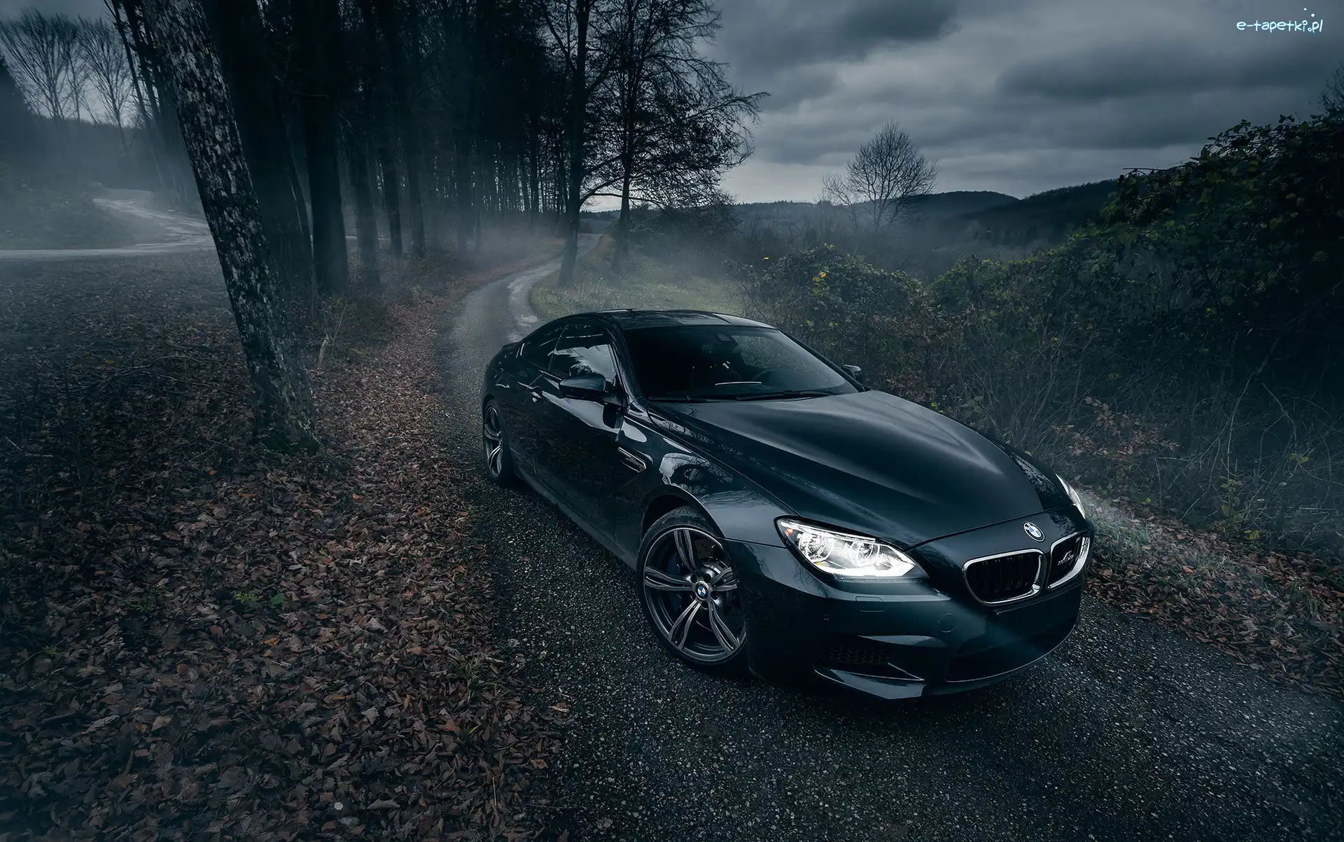 2014, Drzewa, Droga, BMW M6 Gran Coupe AC Schnitzer