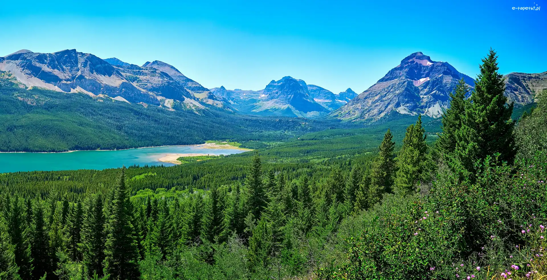 Jezioro Saint Mary Lake, Park Narodowy Glacier, Góry, Drzewa, Stan Montana, Stany Zjednoczone