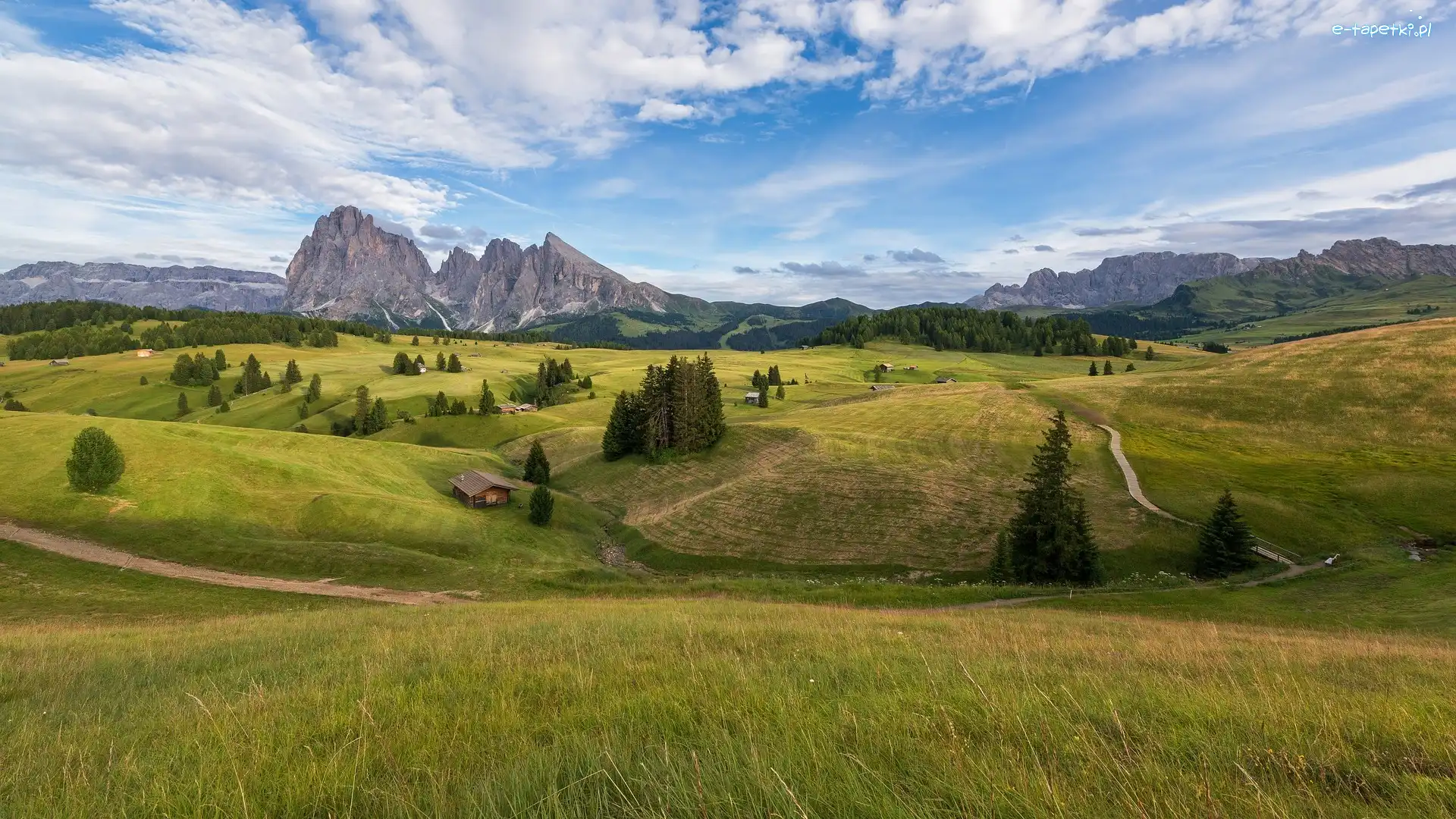Łąki, Góry, Dolina Val Gardena, Domy, Dolomity, Włochy