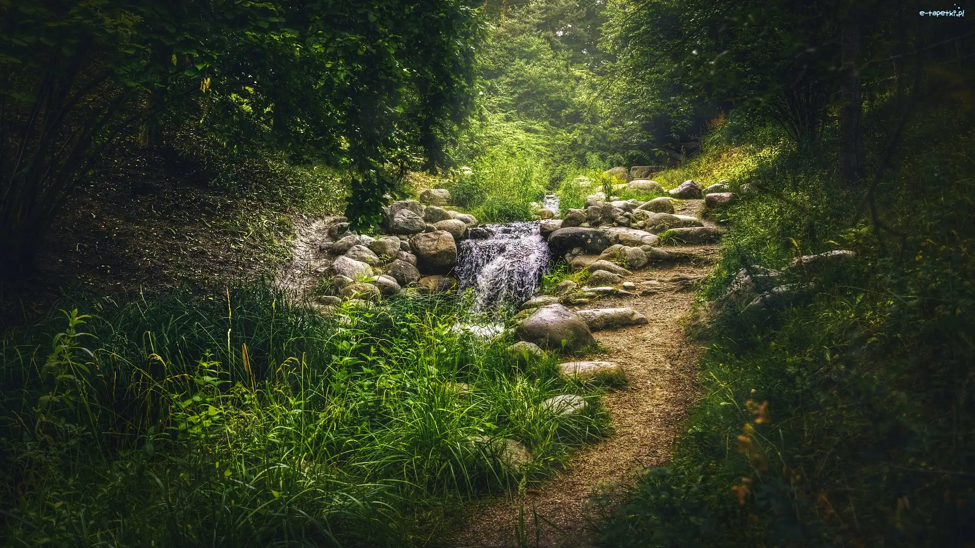Drzewa, Park Britzer Garten, Dróżka, Berlin, Niemcy, Strumyk, Kamienie