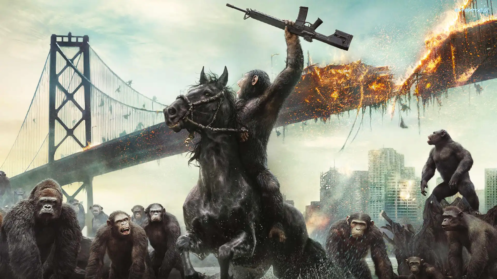 Małpy, Dawn of the Planet of the Apes, Wojna, Ewolucja planety małp, Film, Most, Zniszczony