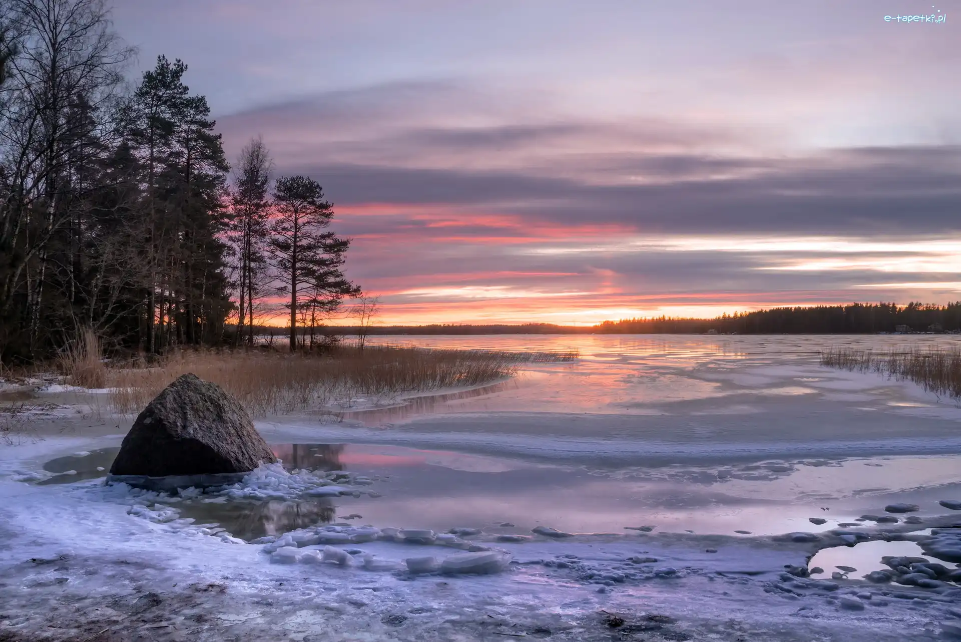 Kamień, Zatoka Fińska, Zachód słońca, Miasto Kotka, Finlandia, Drzewa, Zima