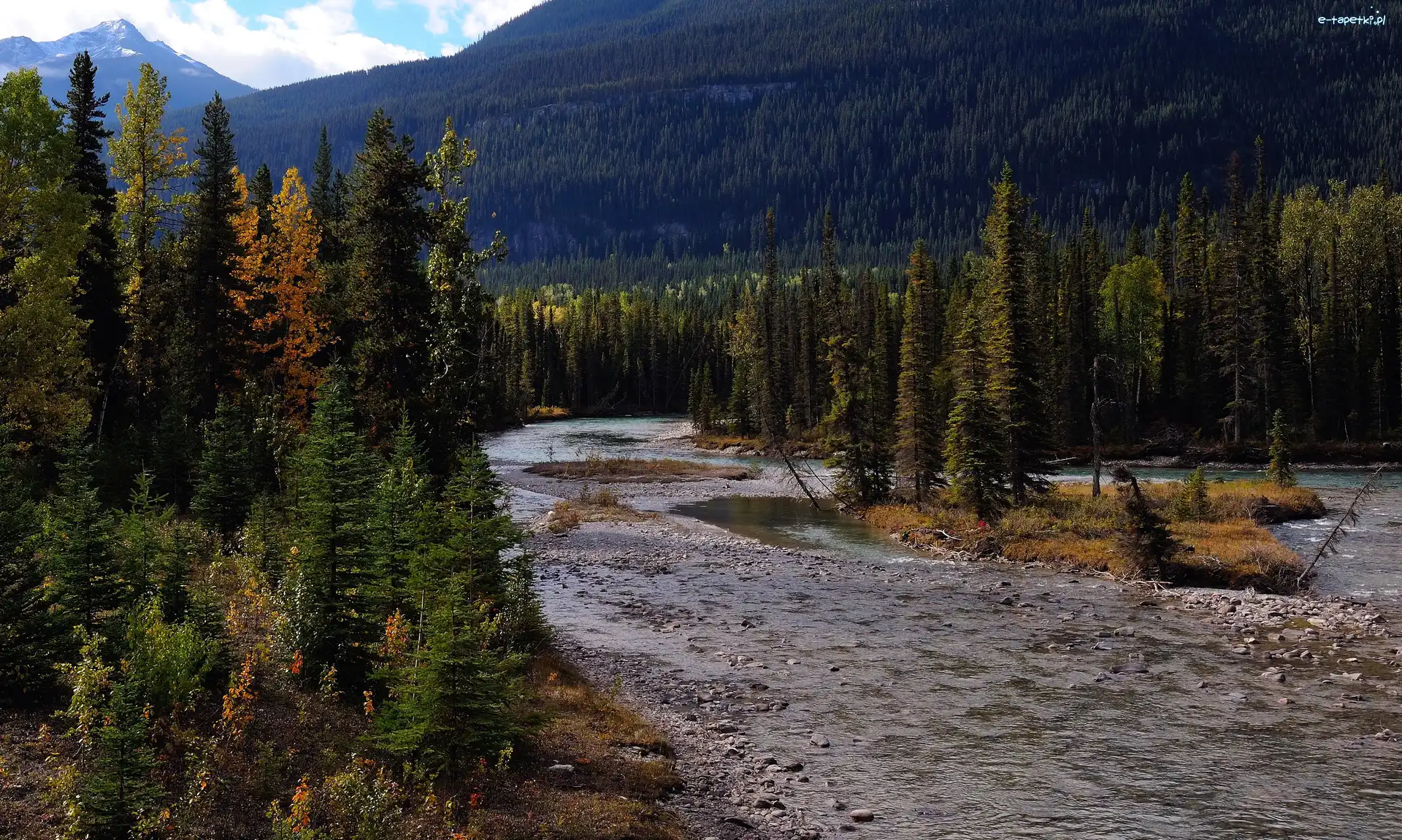 Kanada, Rzeka, Mount Robson Provincial Park, Góry, Drzewa