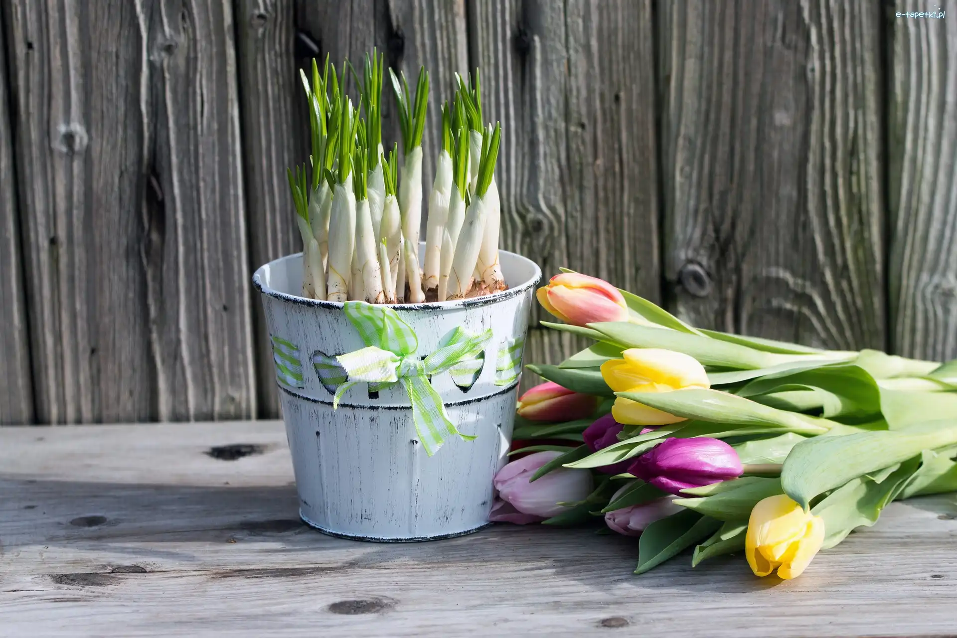 Wiaderko, Tulipany, Kompozycja