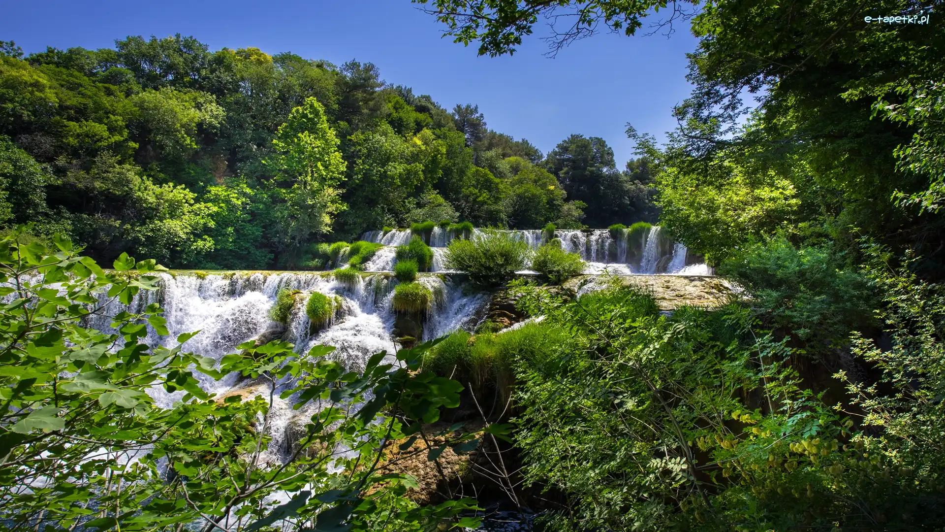 Las, Wodospad, Kaskada, Drzewa, Park Narodowy Krka, Chorwacja