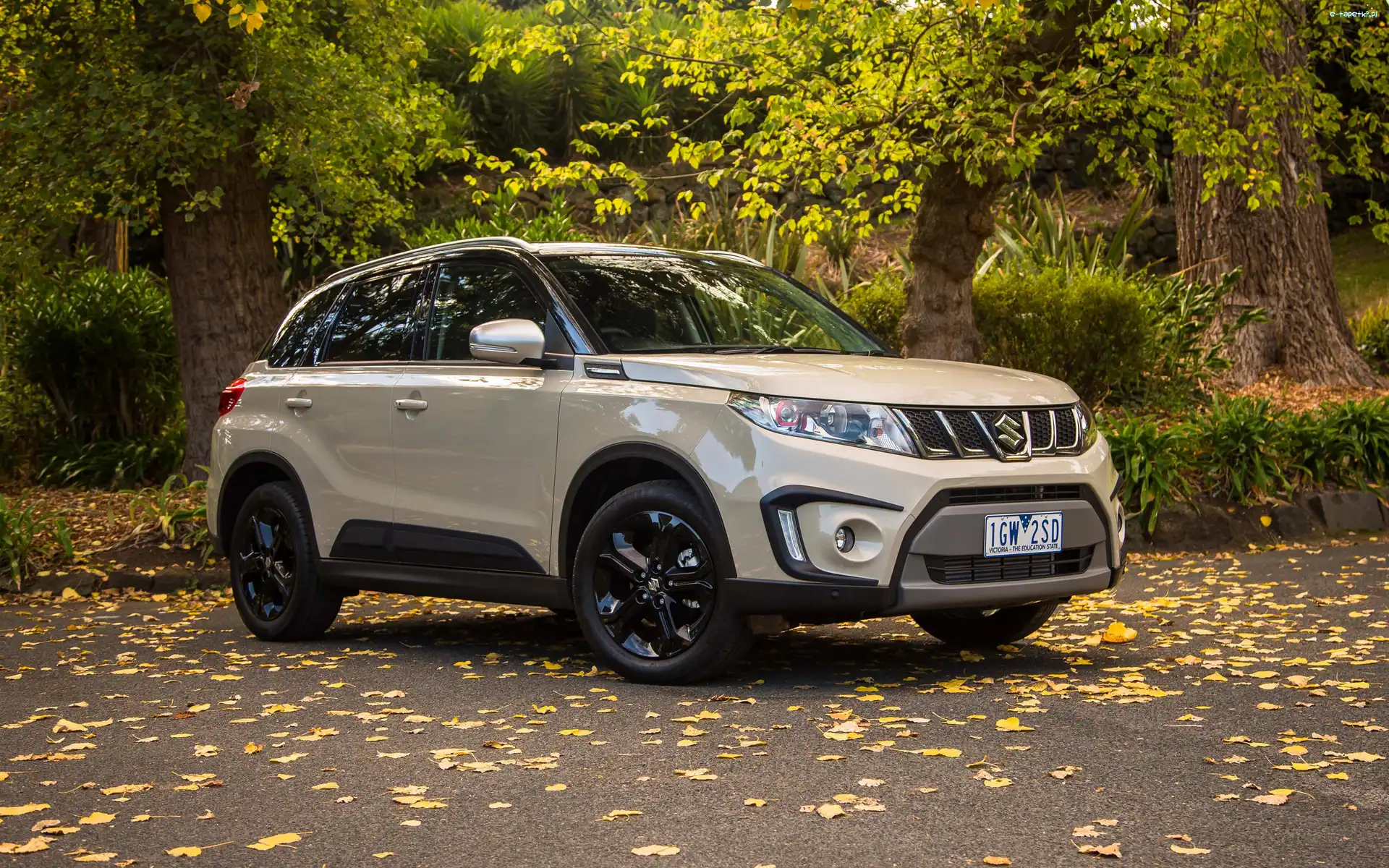 2016, Suzuki Vitara Turbo S
