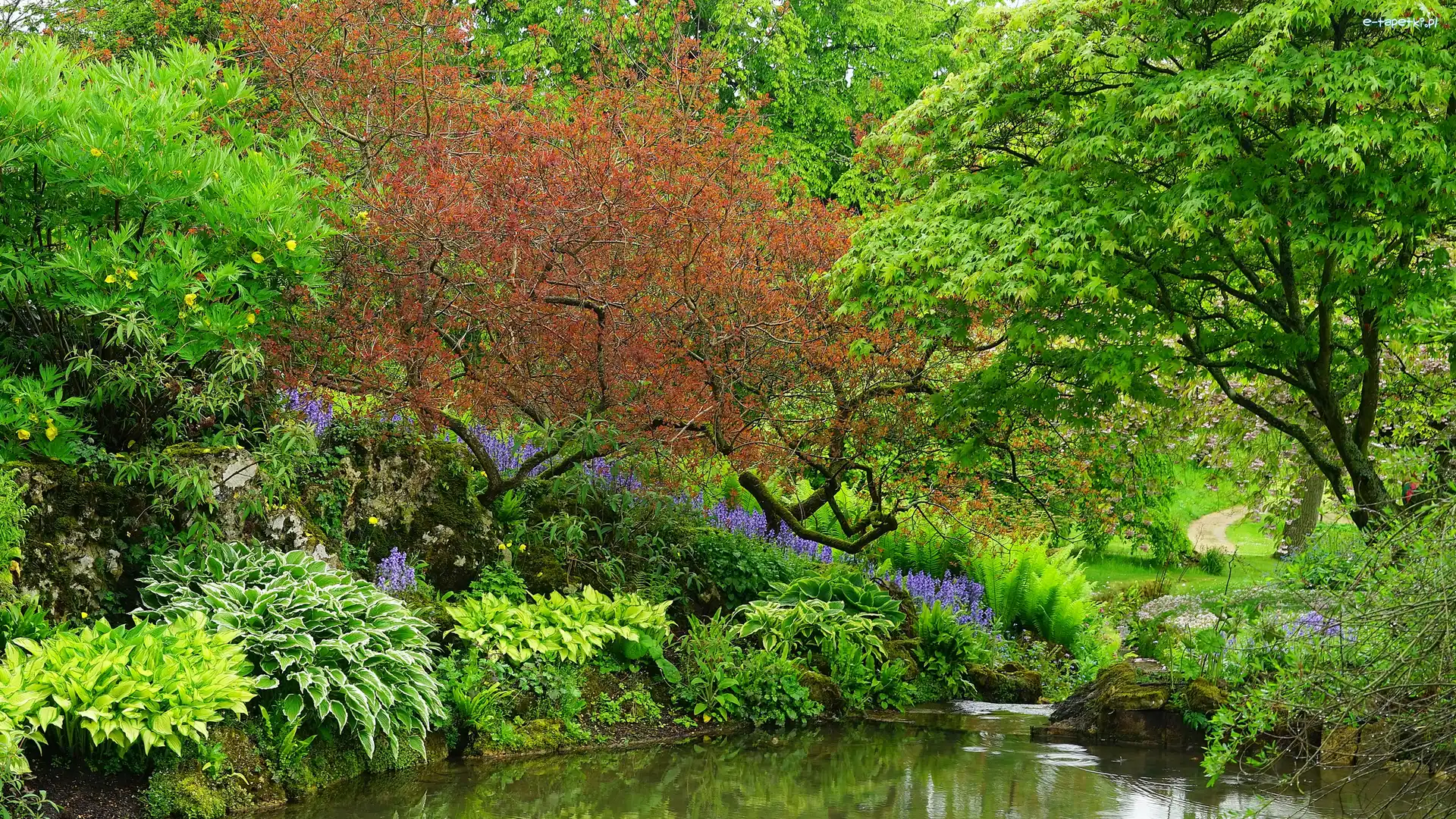 Anglia, Park Sezincote, Hrabstwo Gloucestershire, Drzewa, Staw