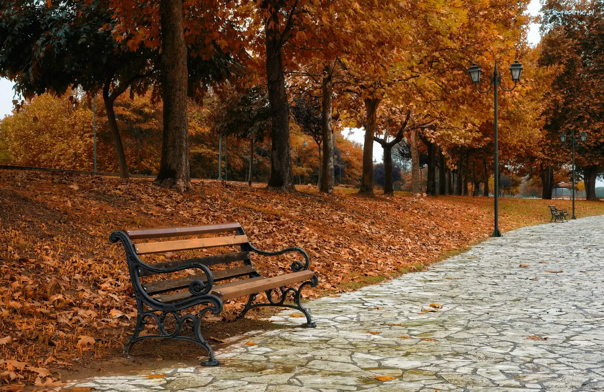 Park, Aleja, Ławka, Jesień