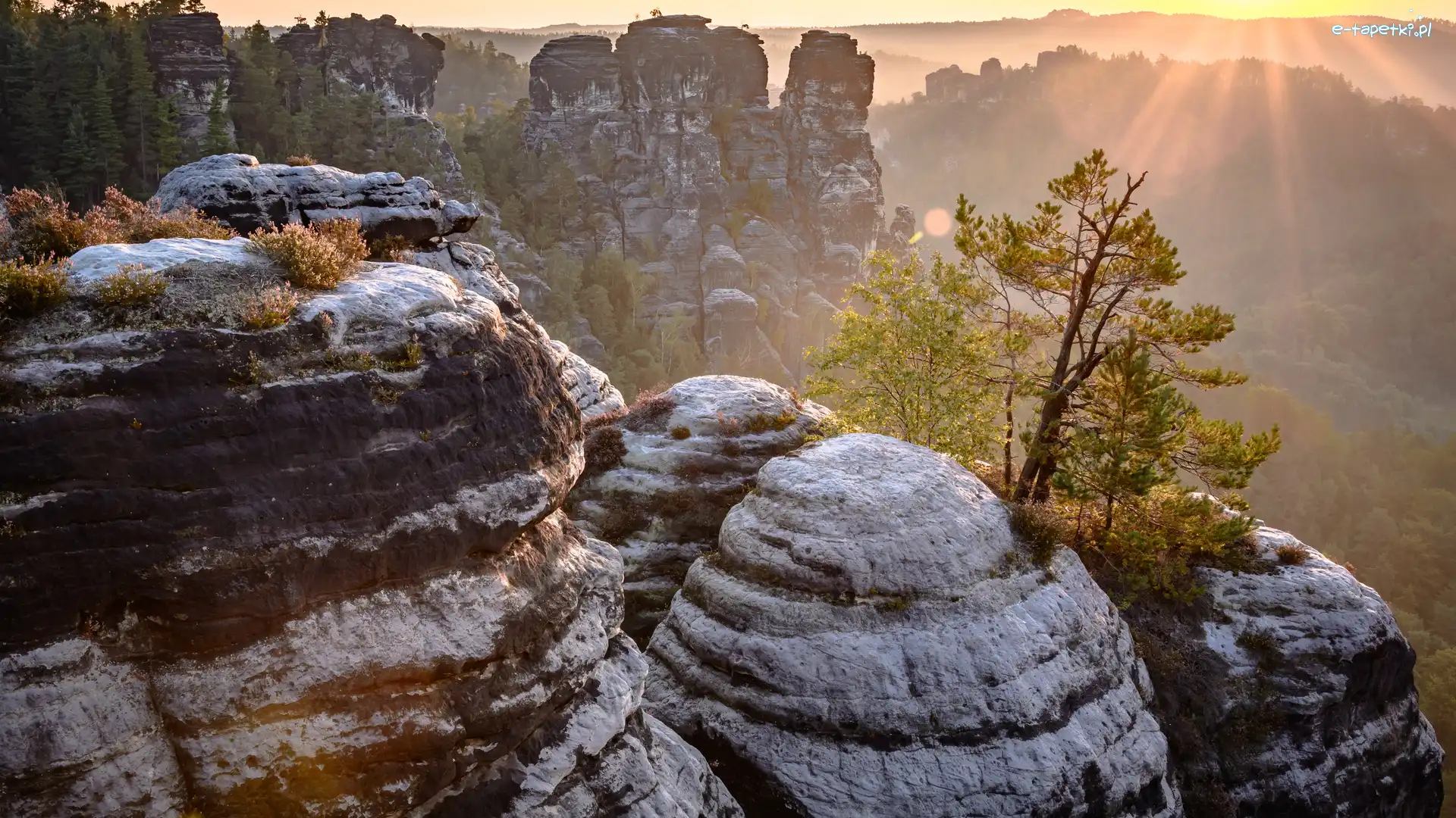 Promienie słońca, Bastei, Skały, Park Narodowy Saskiej Szwajcarii, Niemcy, Drzewa, Góry Połabskie