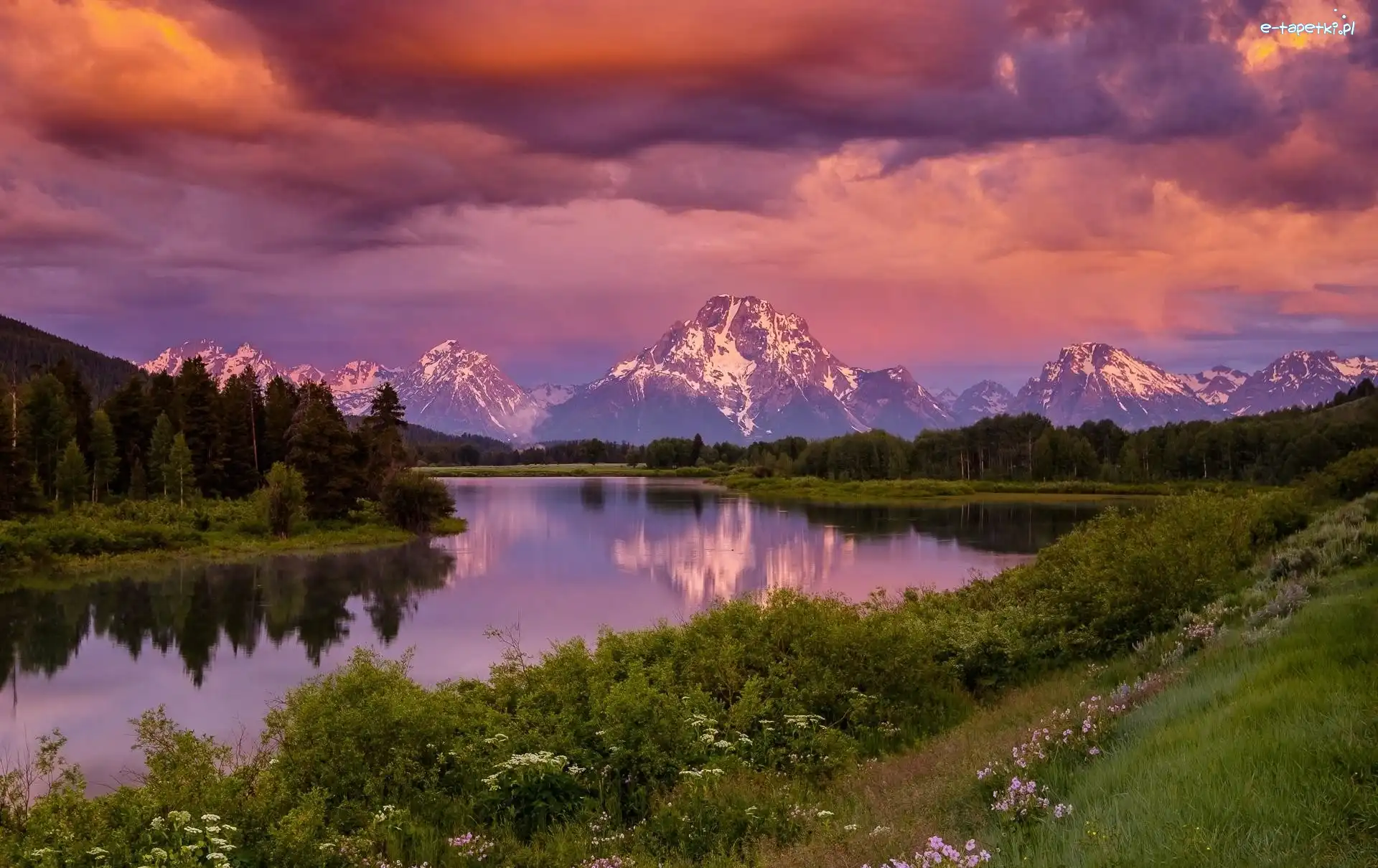 Drzewa, Park Narodowy Grand Teton, Rzeka Snake River, Stan Wyoming, Stany Zjednoczone, Góra Mount Moran, Góry