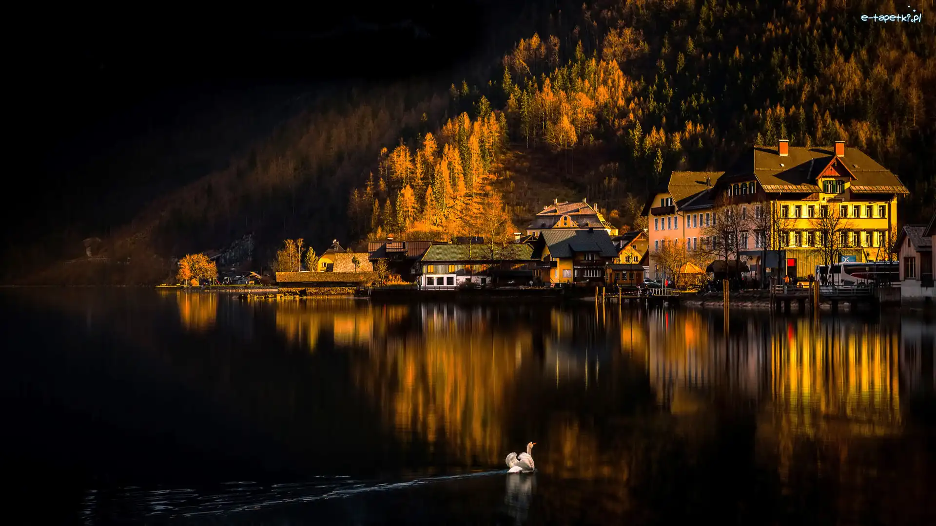 Domy, Jezioro Hallstättersee, Góry Alpy Salzburskie, Łabędź, Miasteczko Hallstatt, Austria