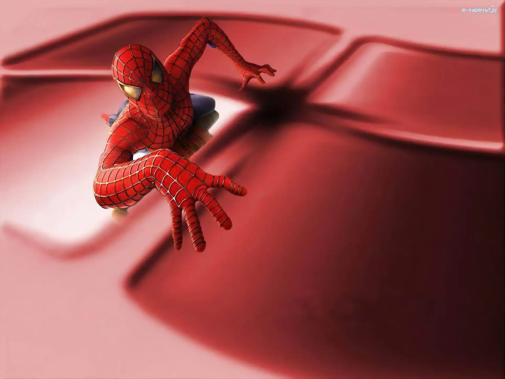 Spider men, Windows
