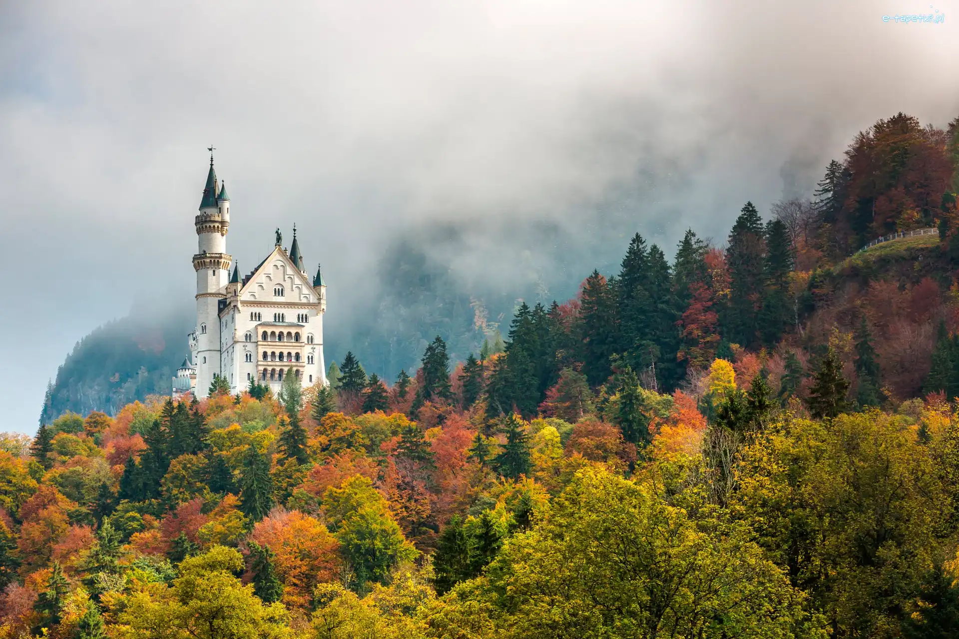 Drzewa, Zamek Neuschwanstein, Jesień, Bawaria, Niemcy, Las, Mgła