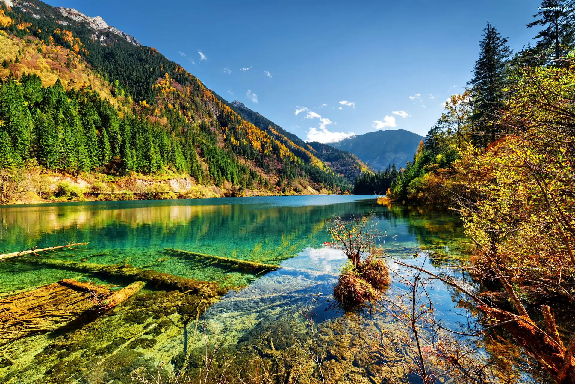 Jezioro, Ngawa, Park Narodowy Jiuzhaigou, Prowincja Syczuan, Chiny, Lasy, Góry