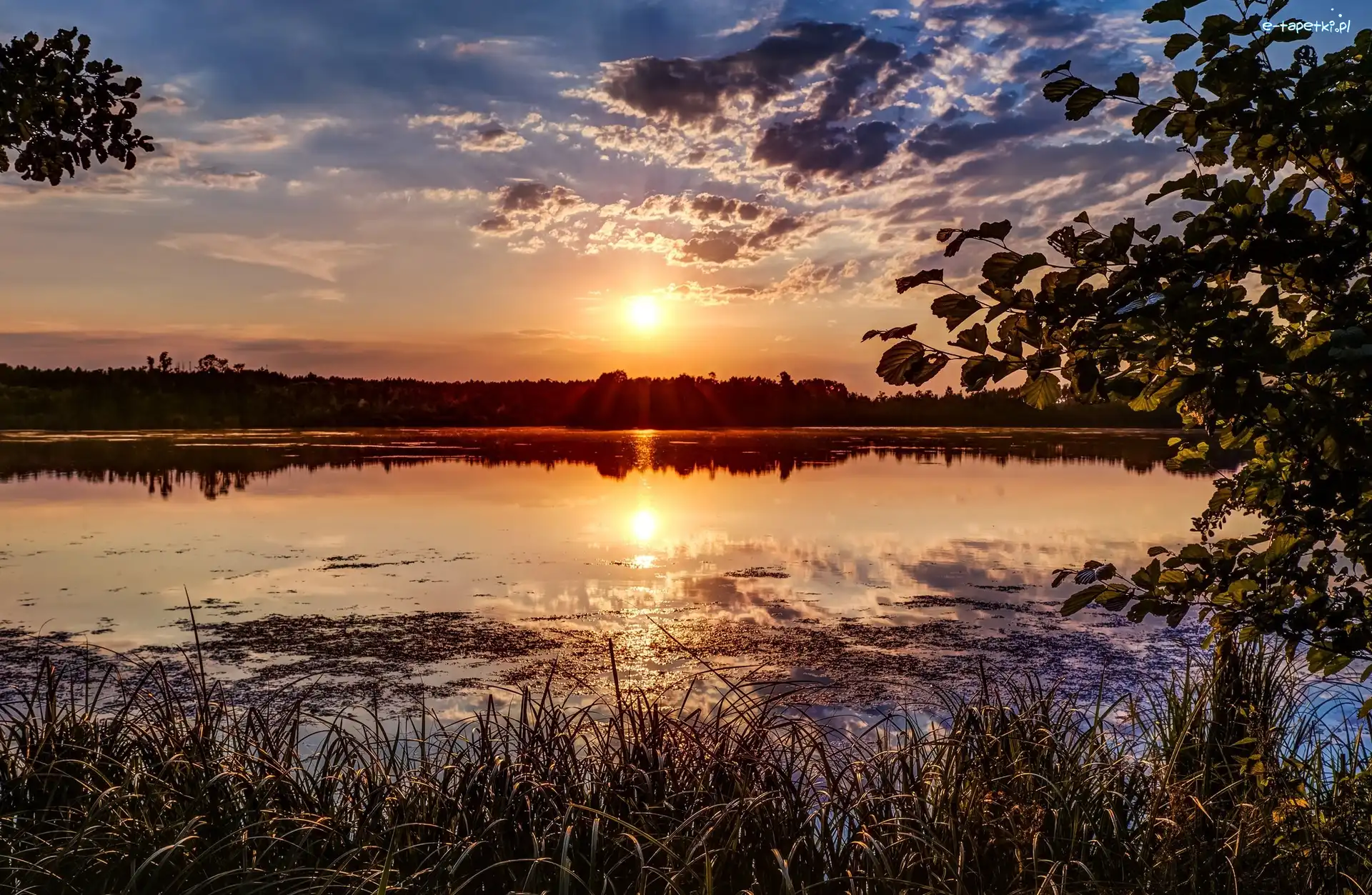 Jezioro, Zachód słońca, Drzewa, Roślinność, Chmury