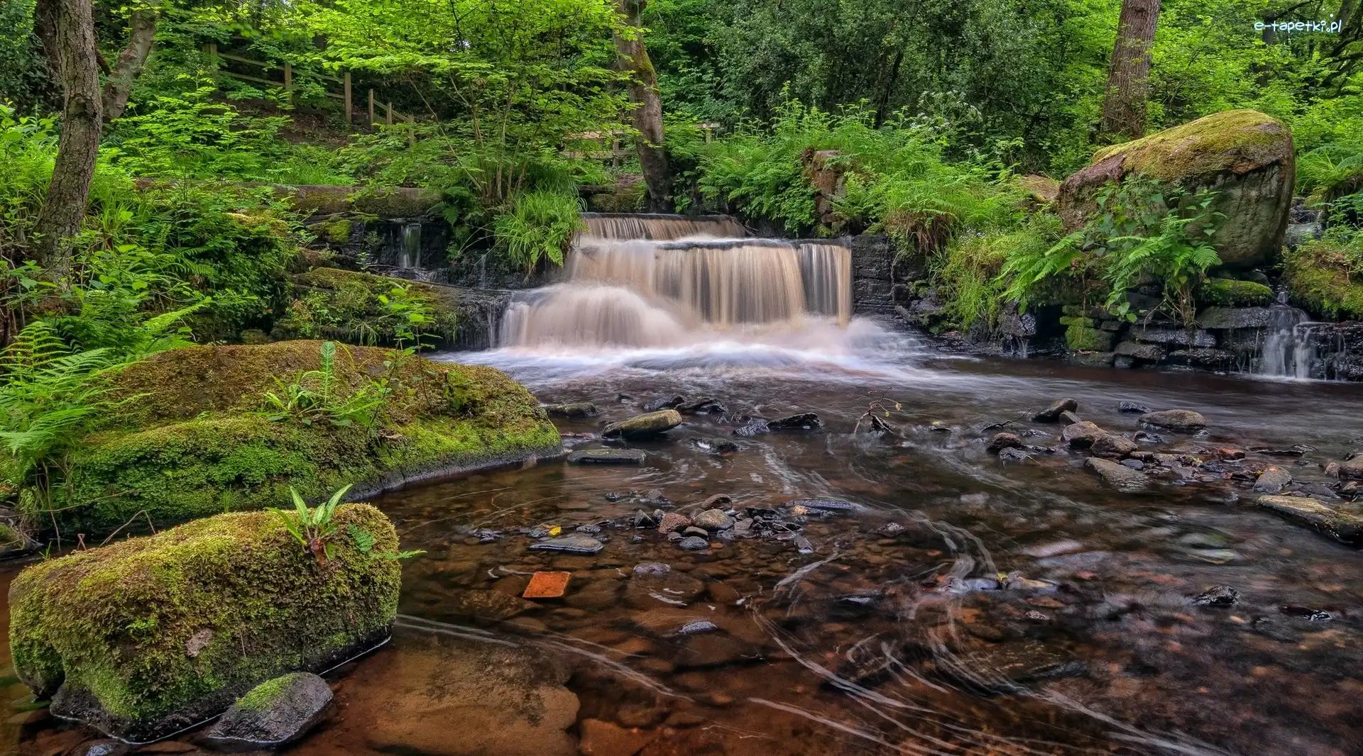 Park Narodowy Peak District, Hrabstwo South Yorkshire, Drzewa Park Narodowy Peak District, Kamienie, Sheffield, Kaskada, Rzeka Rivelin, Anglia