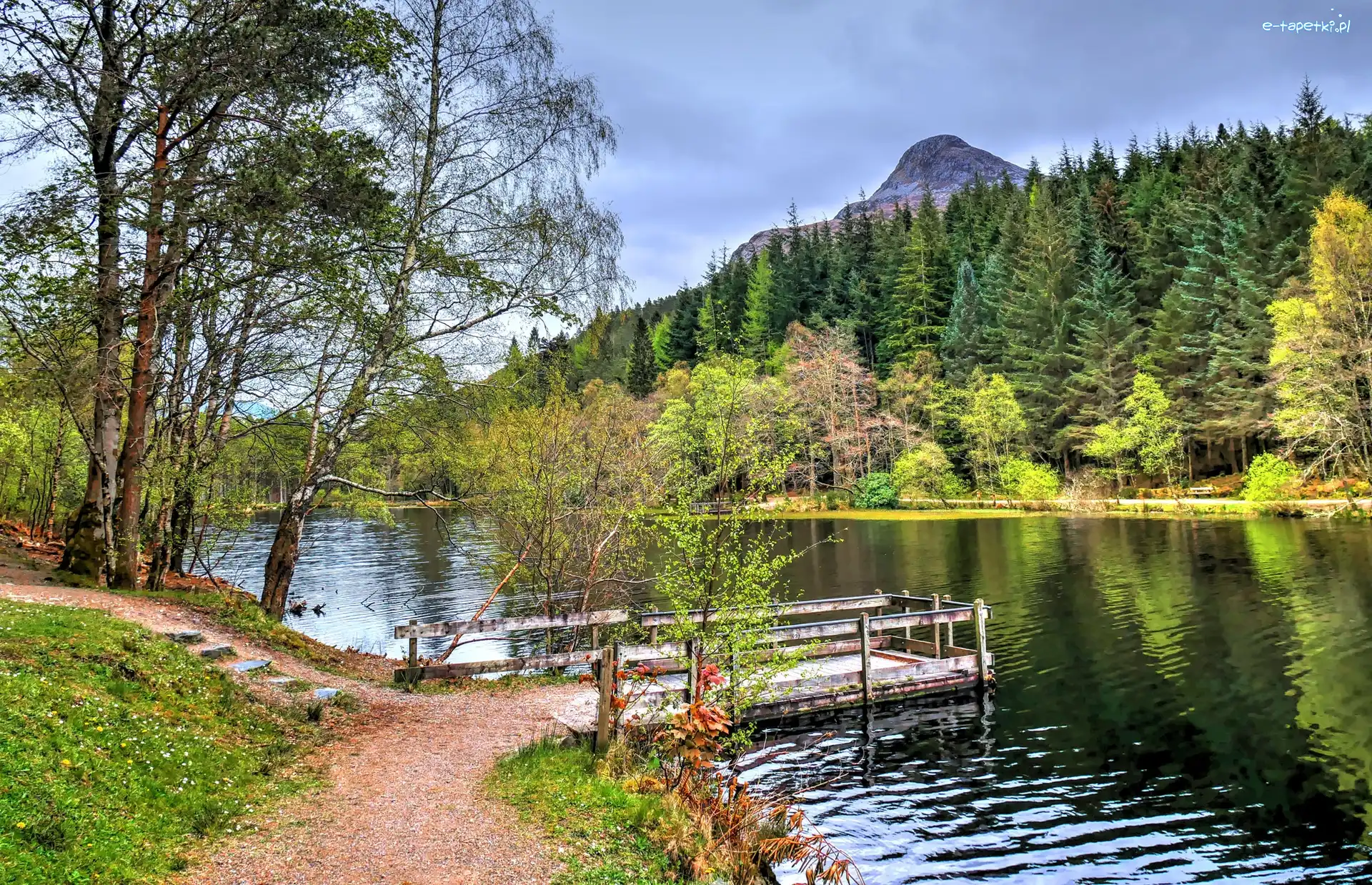 Góra Pap of Glencoe, Szlak Glencoe Lochan, Drzewa, Jesień, Jezioro, Pomost, Lasy, Szkocja
