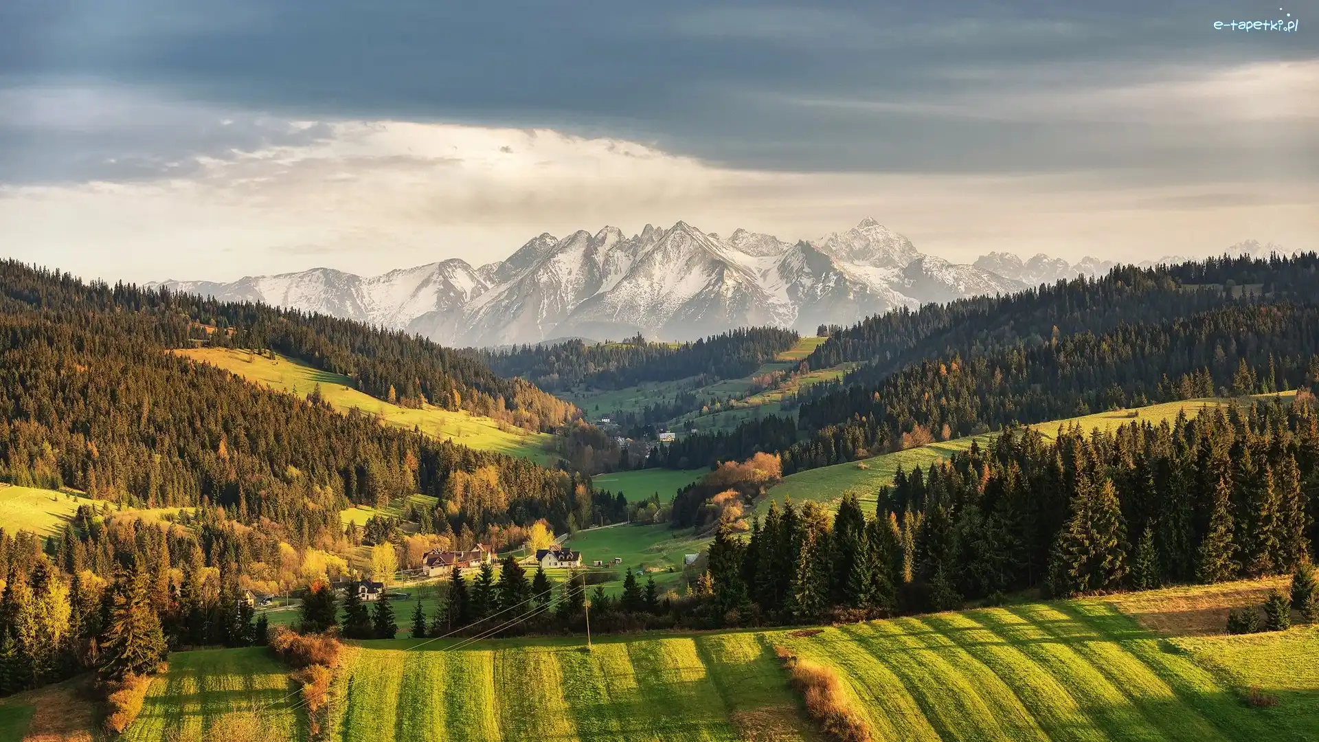 Niebo, Góry Tatry, Wzgórza, Polski Spisz, Polska, Pola, Las