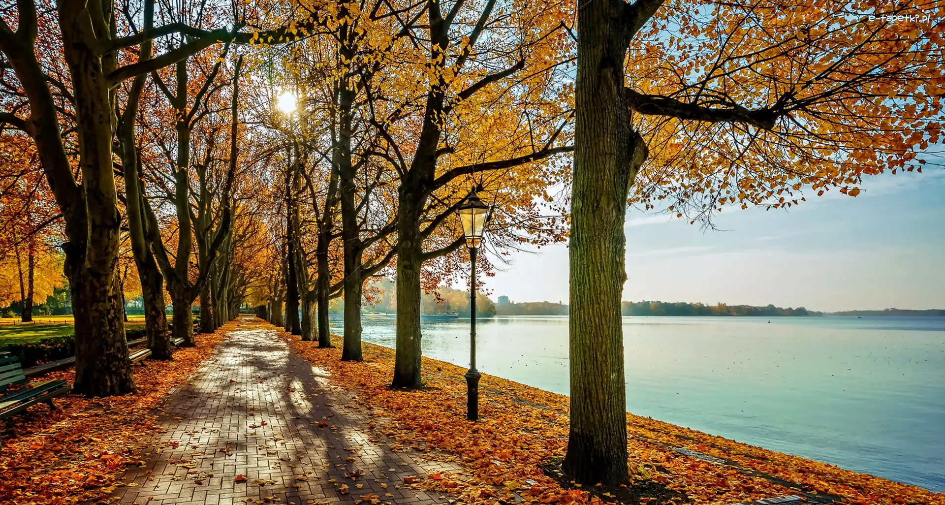 Jesień, Latarnia, Park, Jezioro, Drzewa