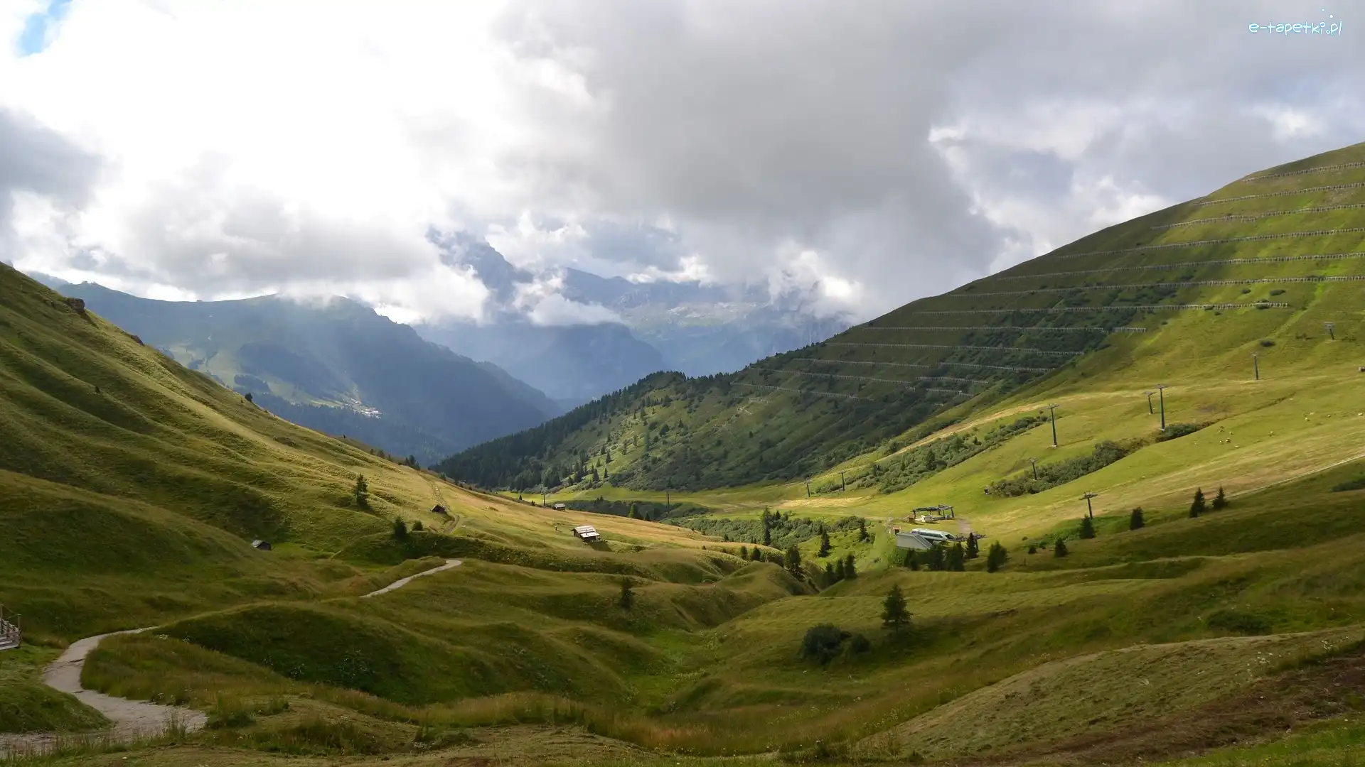 Łąki, Dolomity, Góry, Drzewa, Prowincja Belluno, Włochy