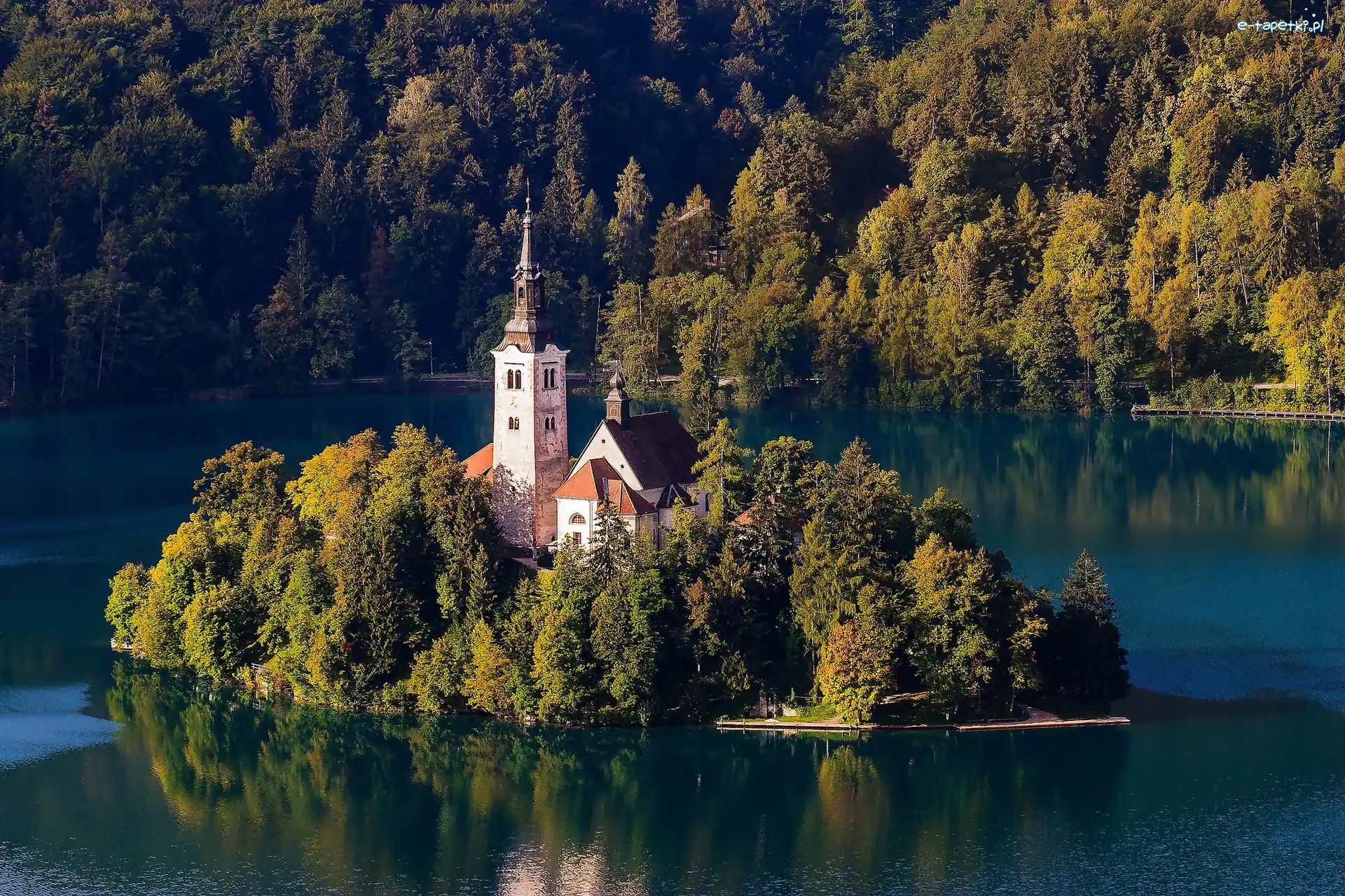 Drzewa, Wyspa Blejski Otok, Kościół Zwiastowania Marii Panny, Jezioro Bled, Słowenia, Las, Jesień