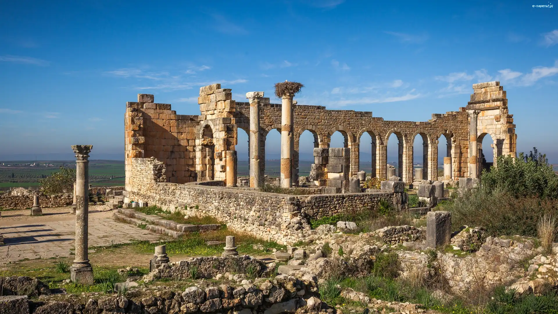 Maroko, Ruiny Mauretanii Tingitana, Volubilis, Afryka Północna